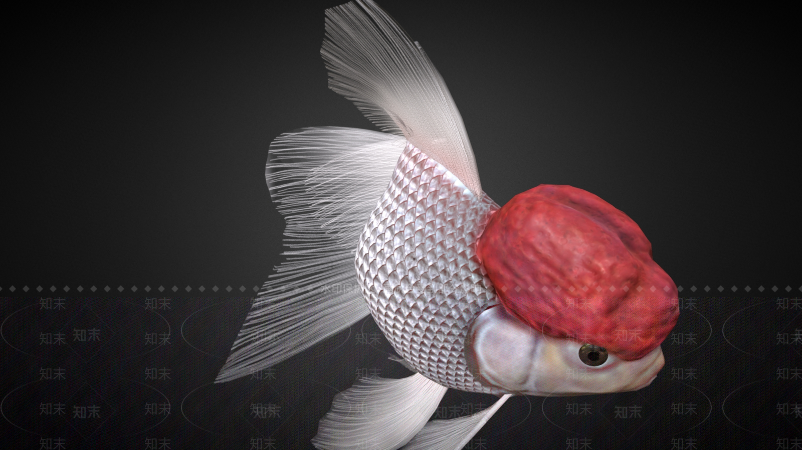 水生类动物3D模型下载【ID:1181530927】