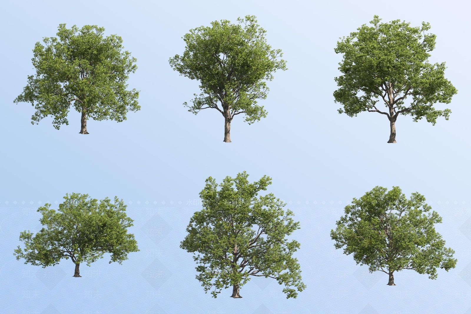 景观树3D模型下载【ID:1181538181】