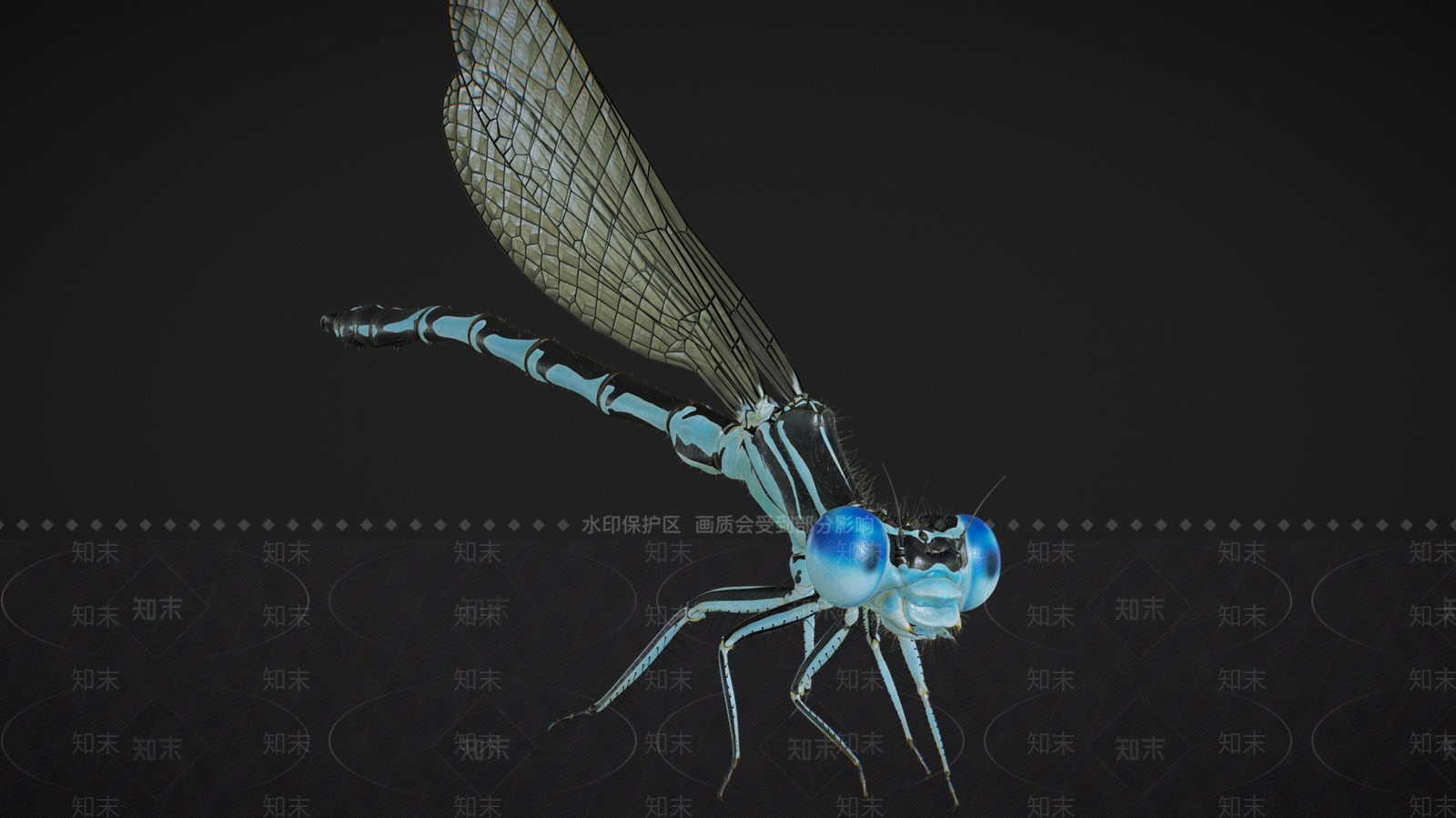 飞行类动物3D模型下载【ID:1181547978】