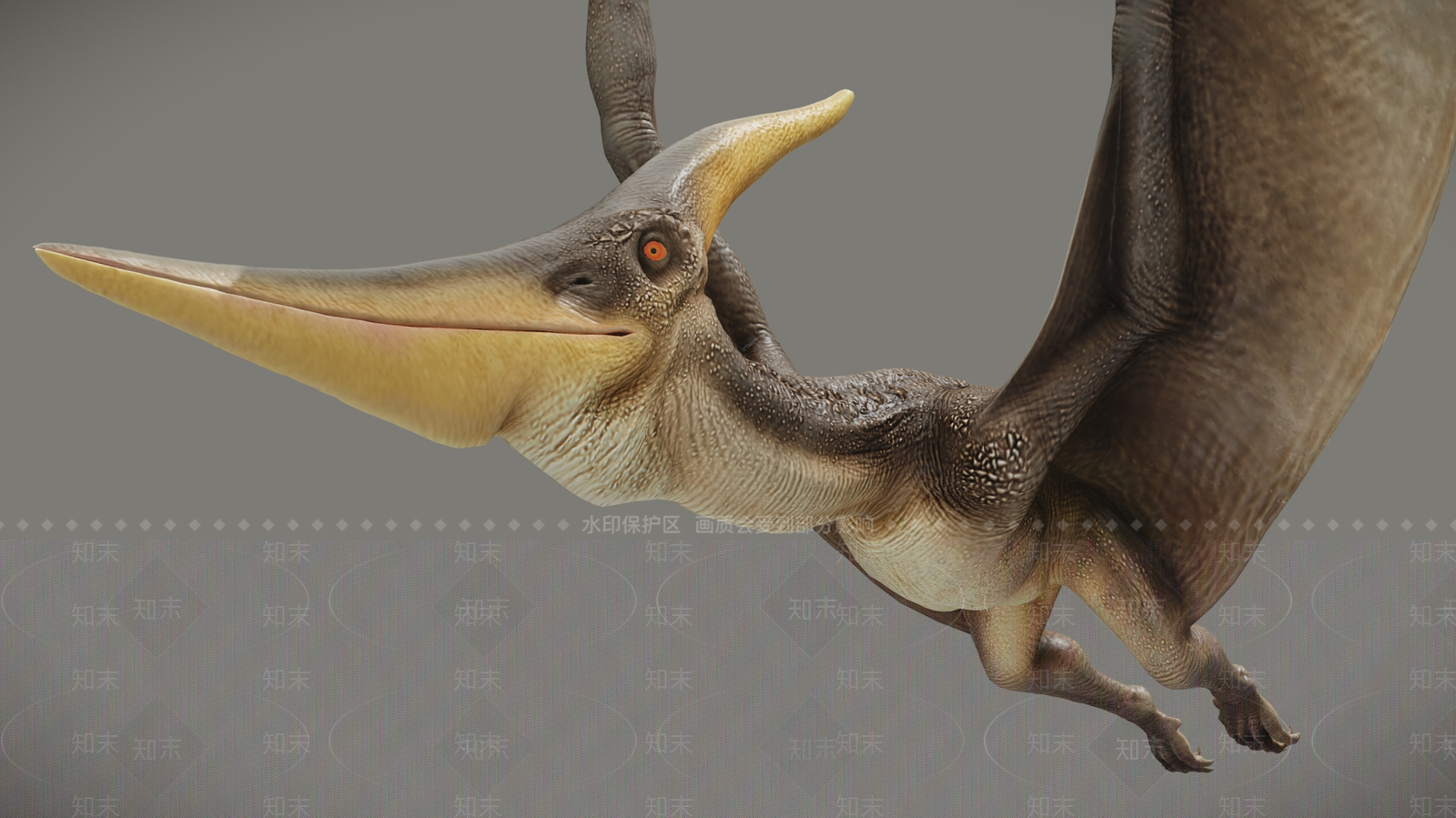 飞行类动物3D模型下载【ID:1181576842】