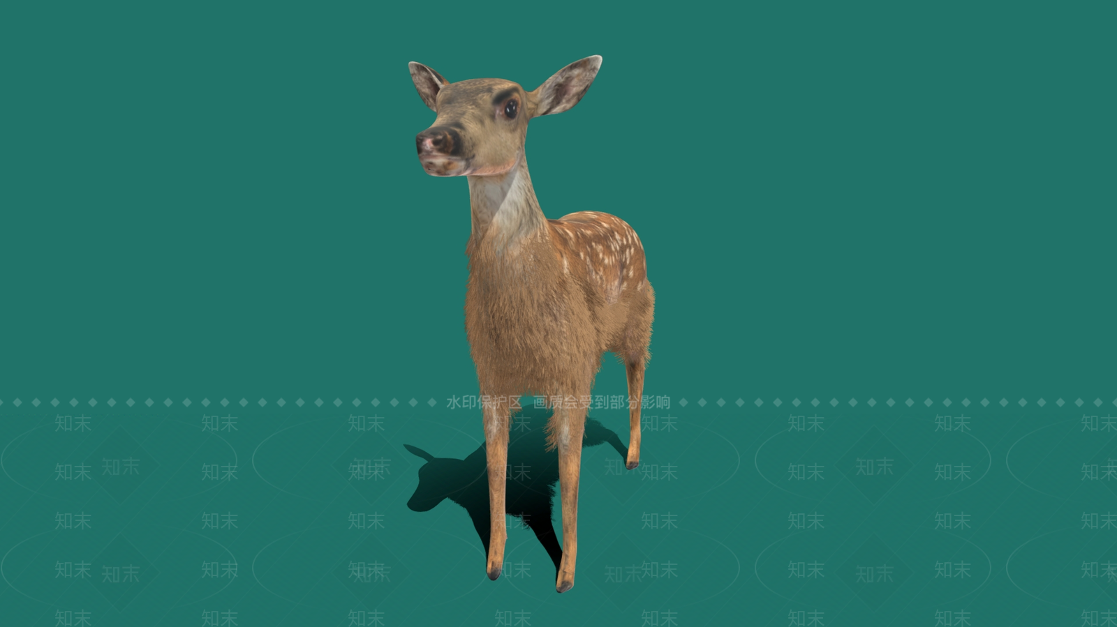爬行类动物3D模型下载【ID:1181578181】
