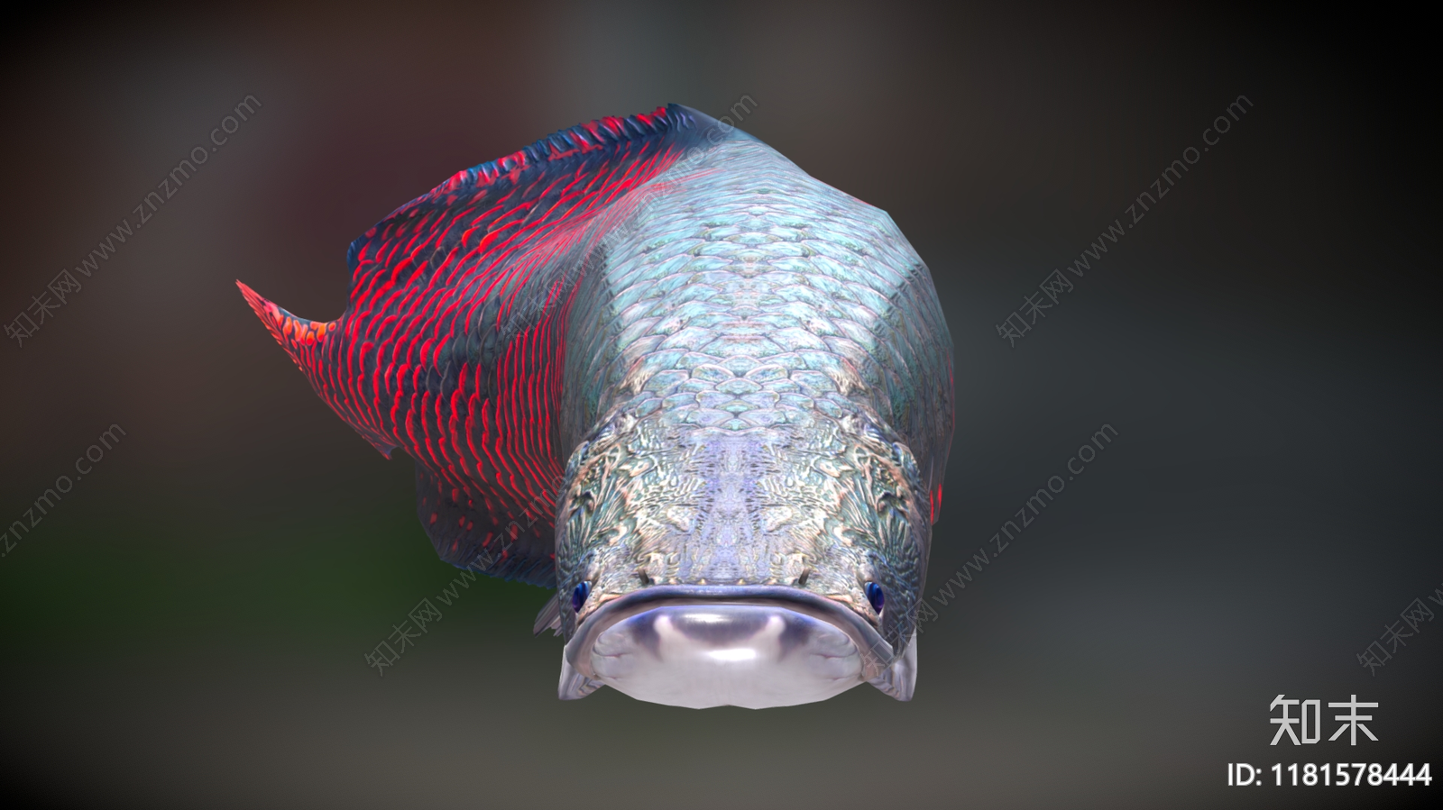 水生类动物3D模型下载【ID:1181578444】