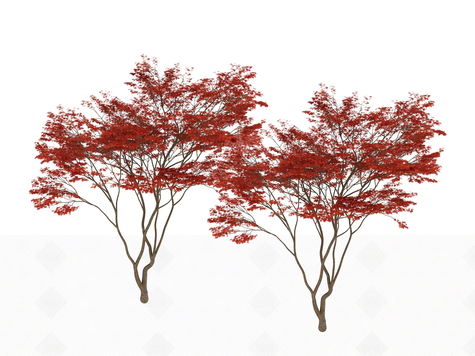 现代乔木3D模型下载【ID:1181614984】
