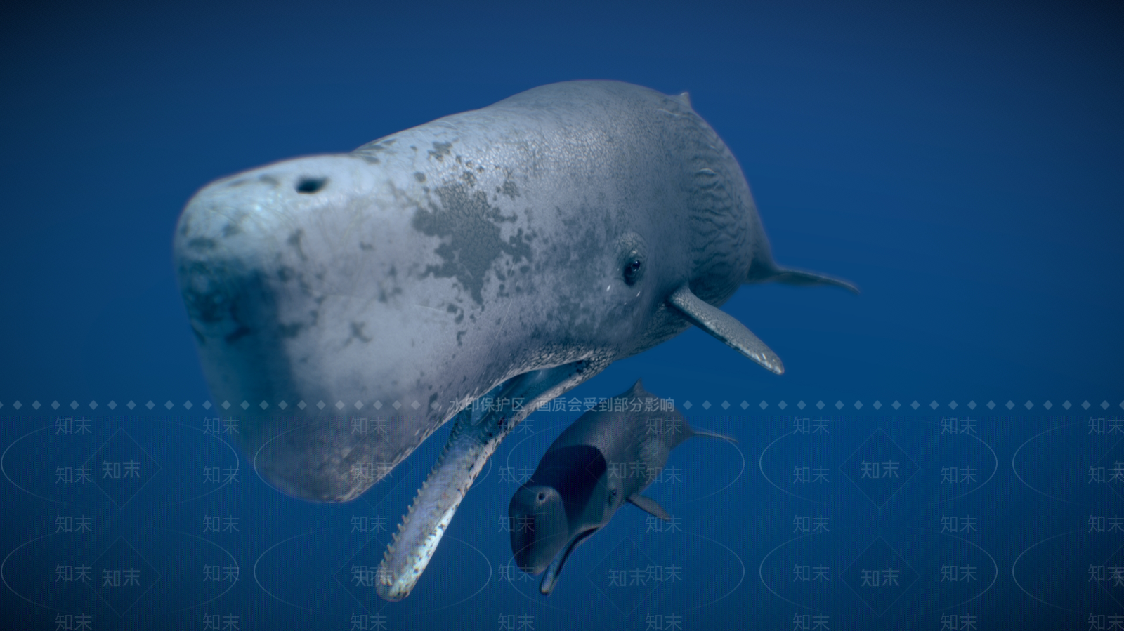 水生类动物3D模型下载【ID:1181620243】