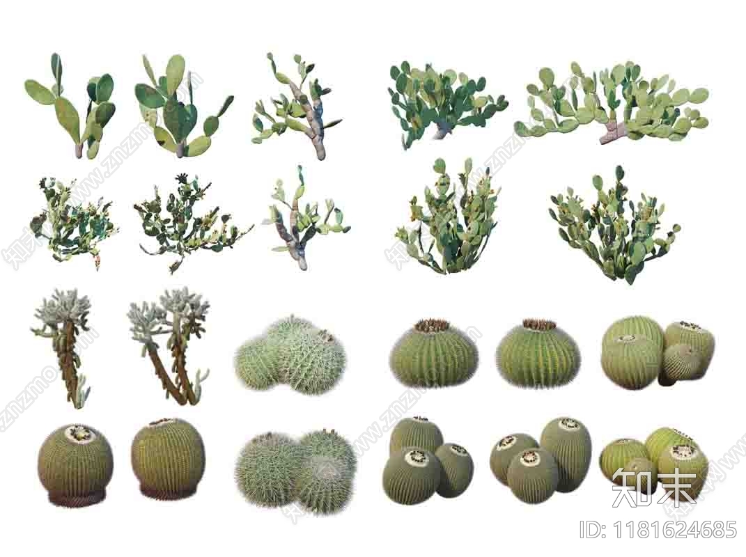 现代植物组合下载【ID:1181624685】