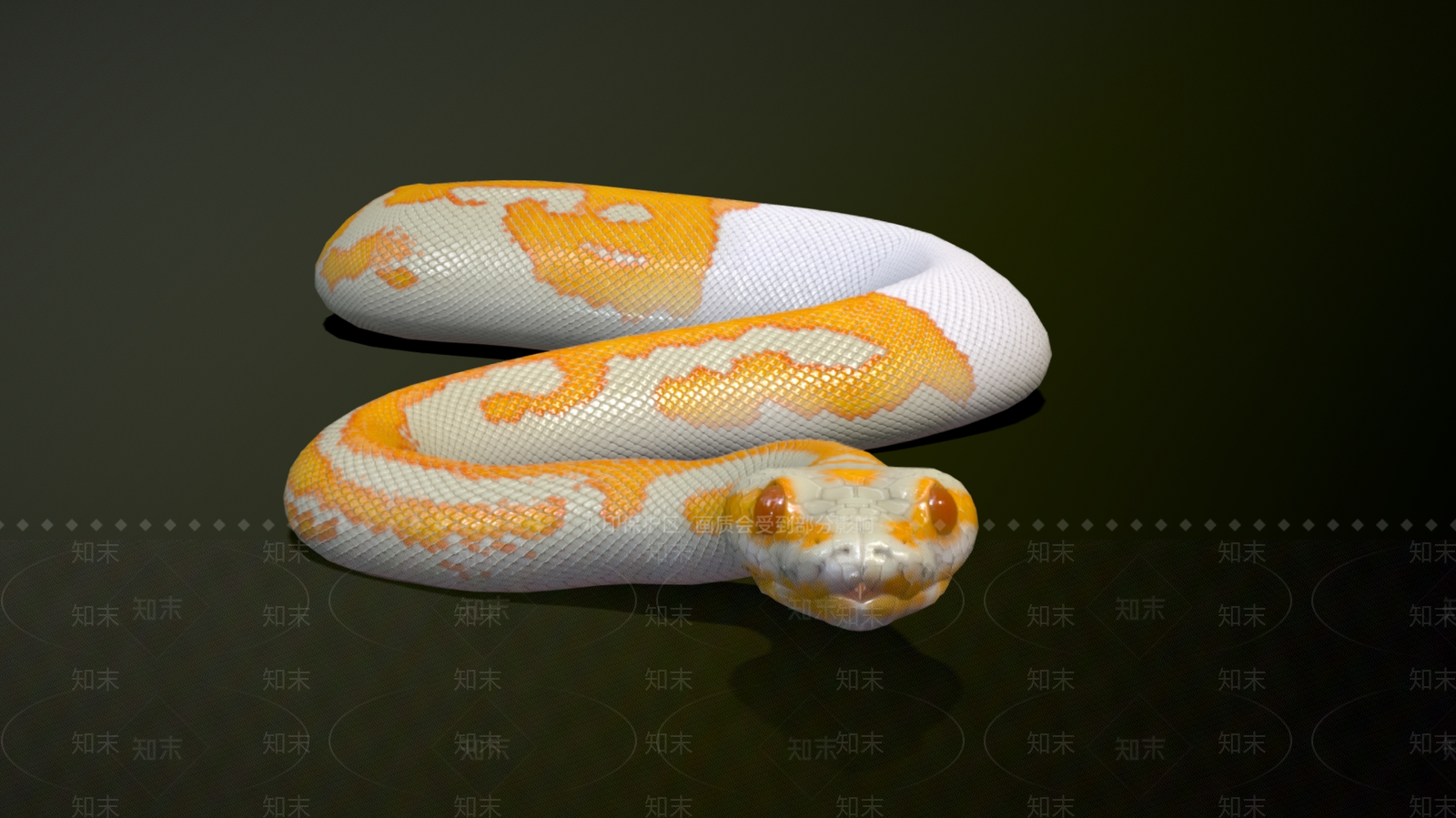 爬行类动物3D模型下载【ID:1181629271】