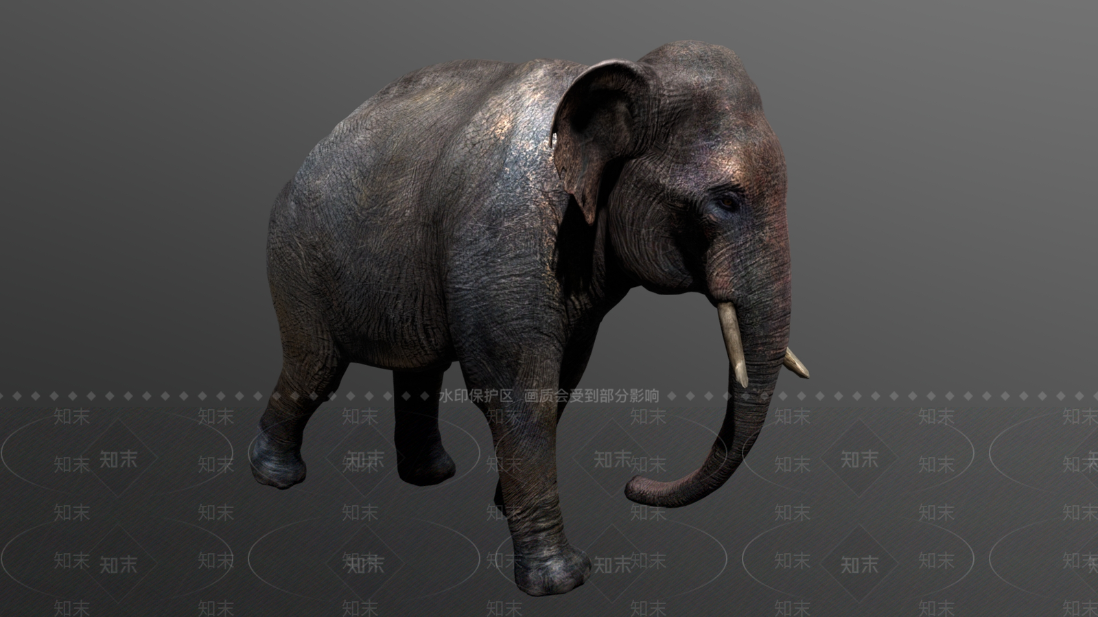 爬行类动物3D模型下载【ID:1181638772】
