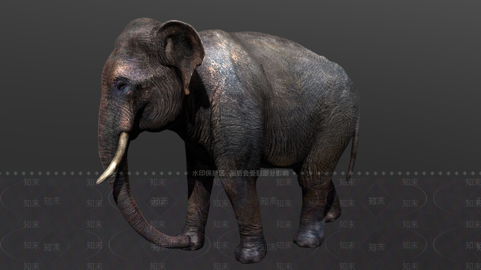 爬行类动物3D模型下载【ID:1181638772】