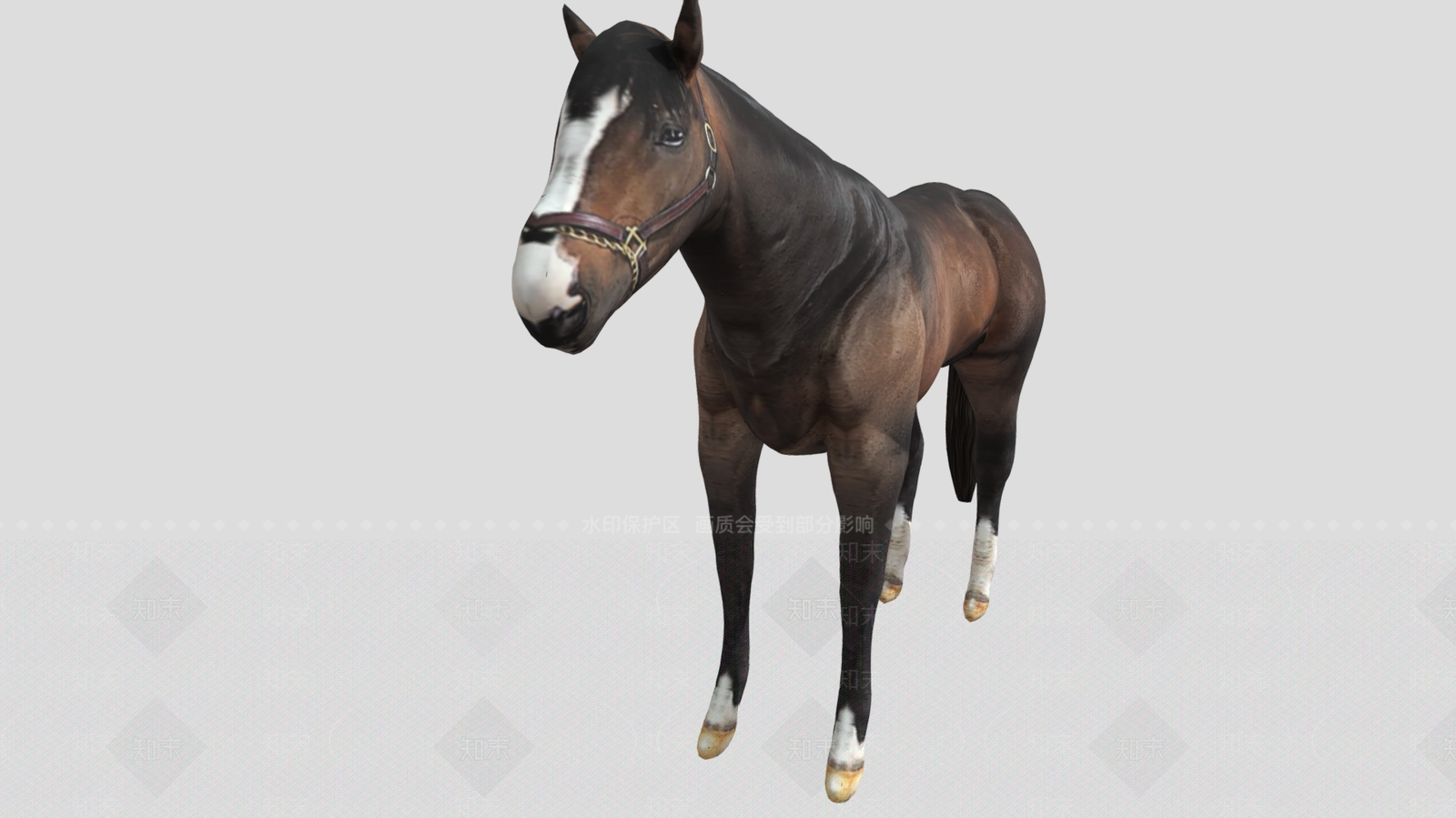 其他动物3D模型下载【ID:1181665283】