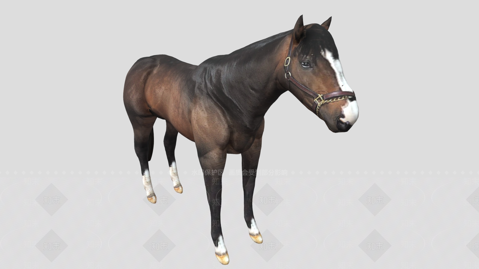 其他动物3D模型下载【ID:1181665283】