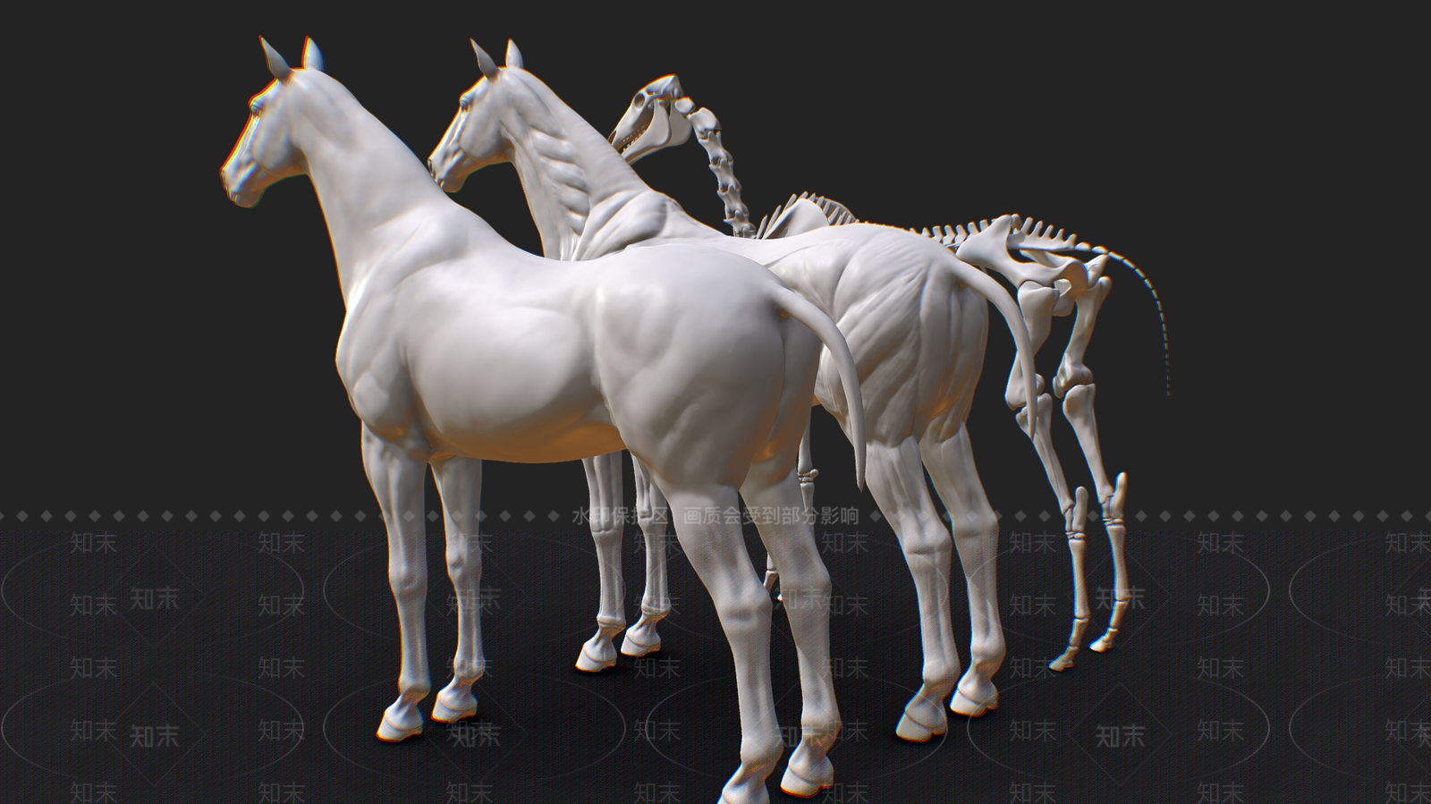 爬行类动物3D模型下载【ID:1181683709】