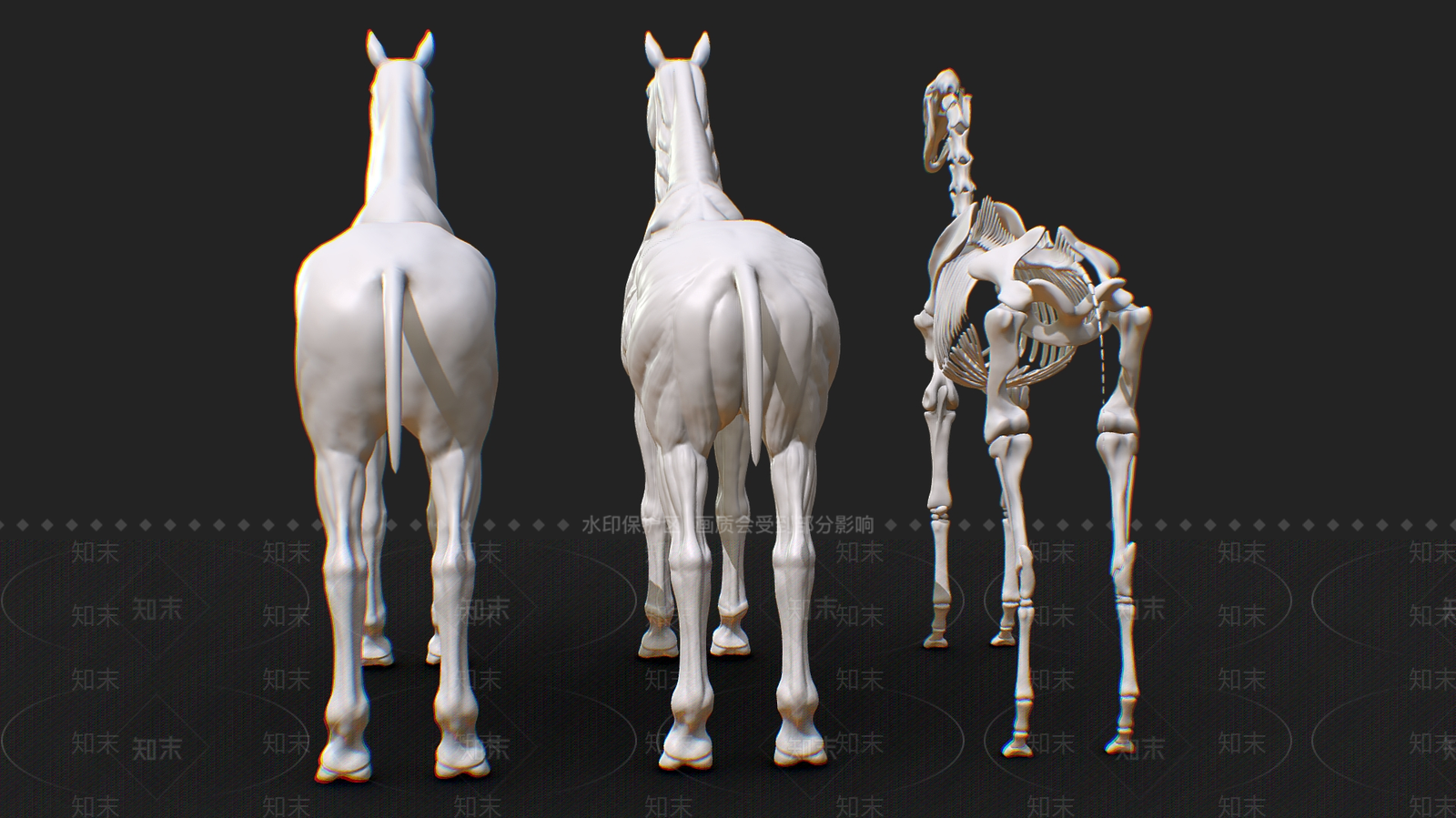 爬行类动物3D模型下载【ID:1181683709】