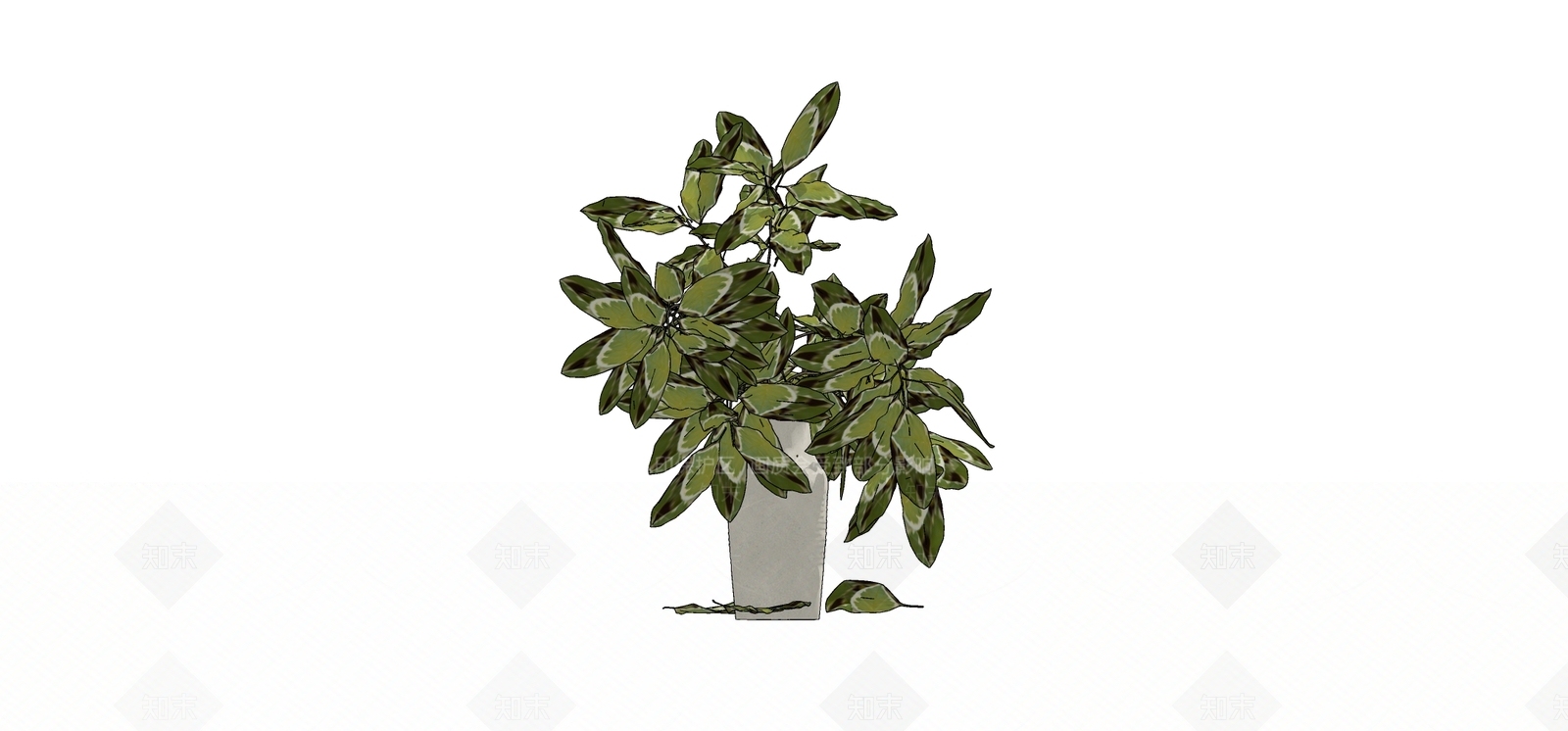 盆栽SU模型下载【ID:1182403555】