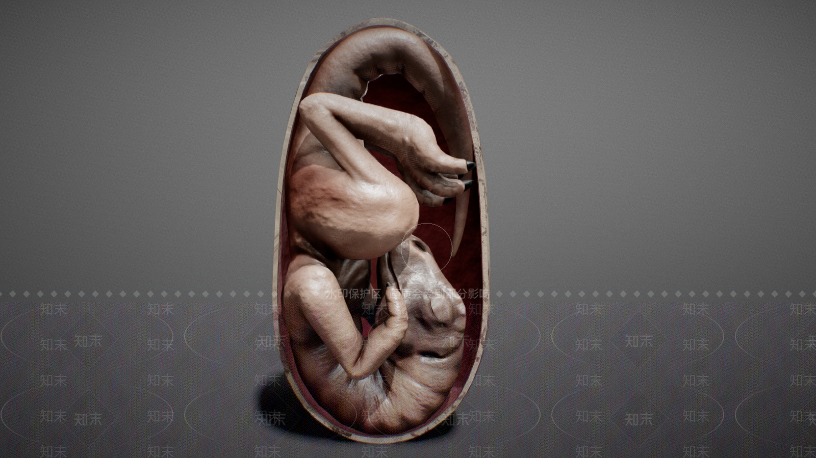 其他动物3D模型下载【ID:1181722866】