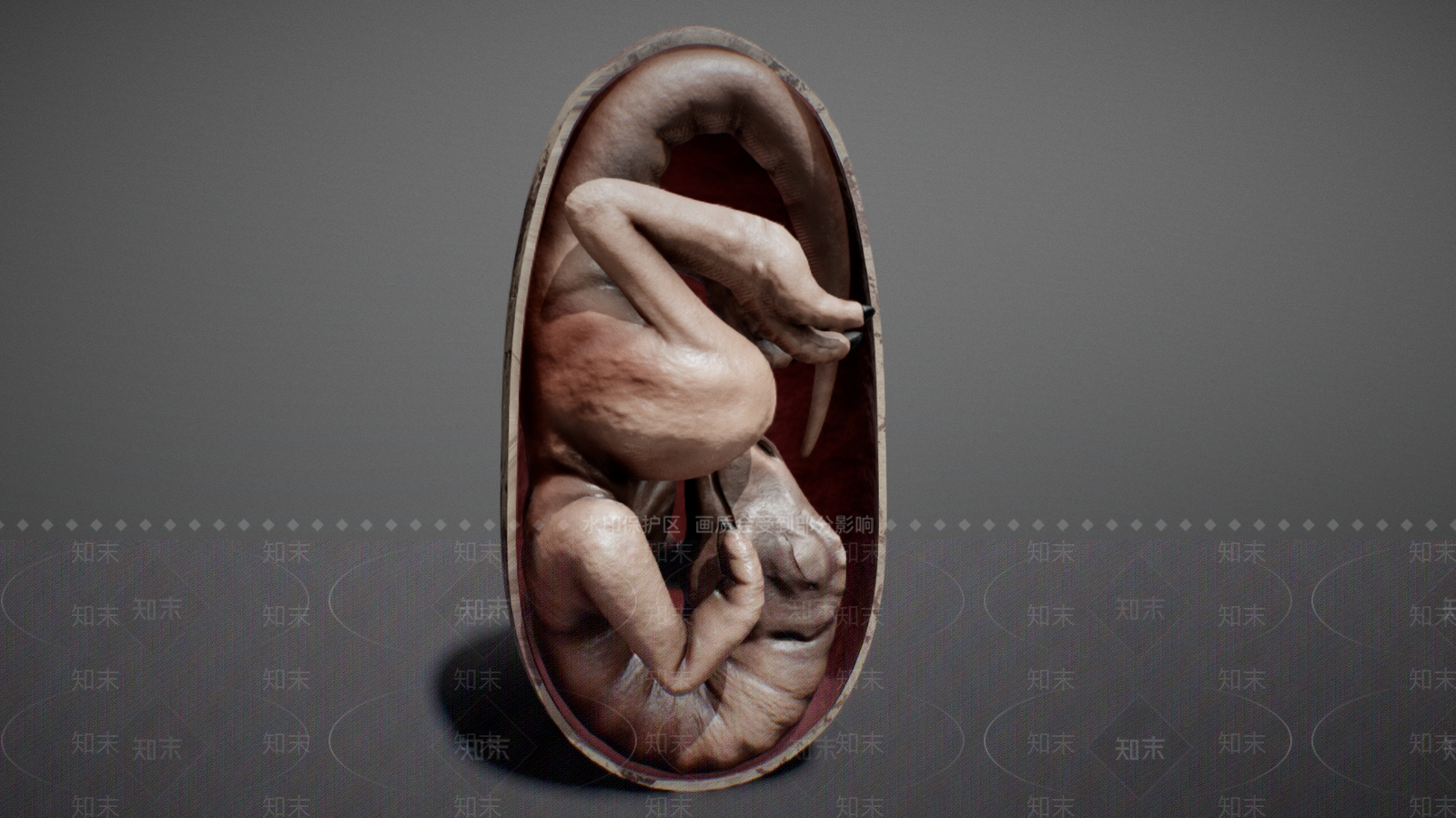 其他动物3D模型下载【ID:1181722866】