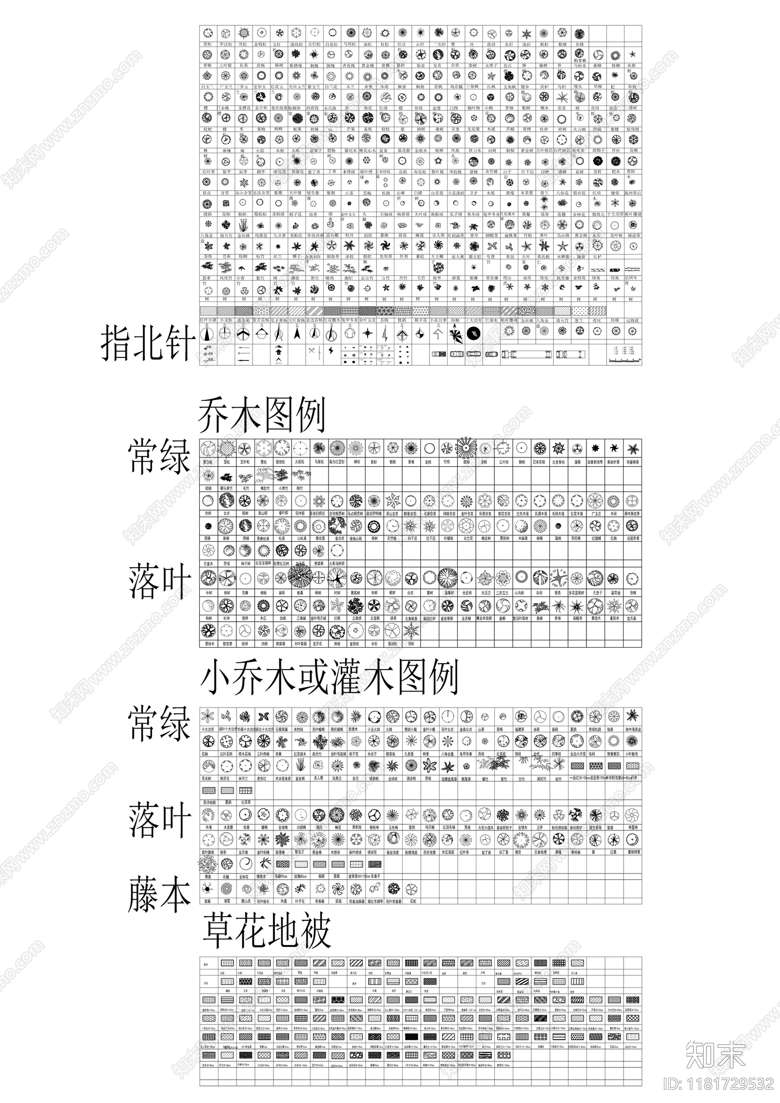 综合植物图库施工图下载【ID:1181729532】