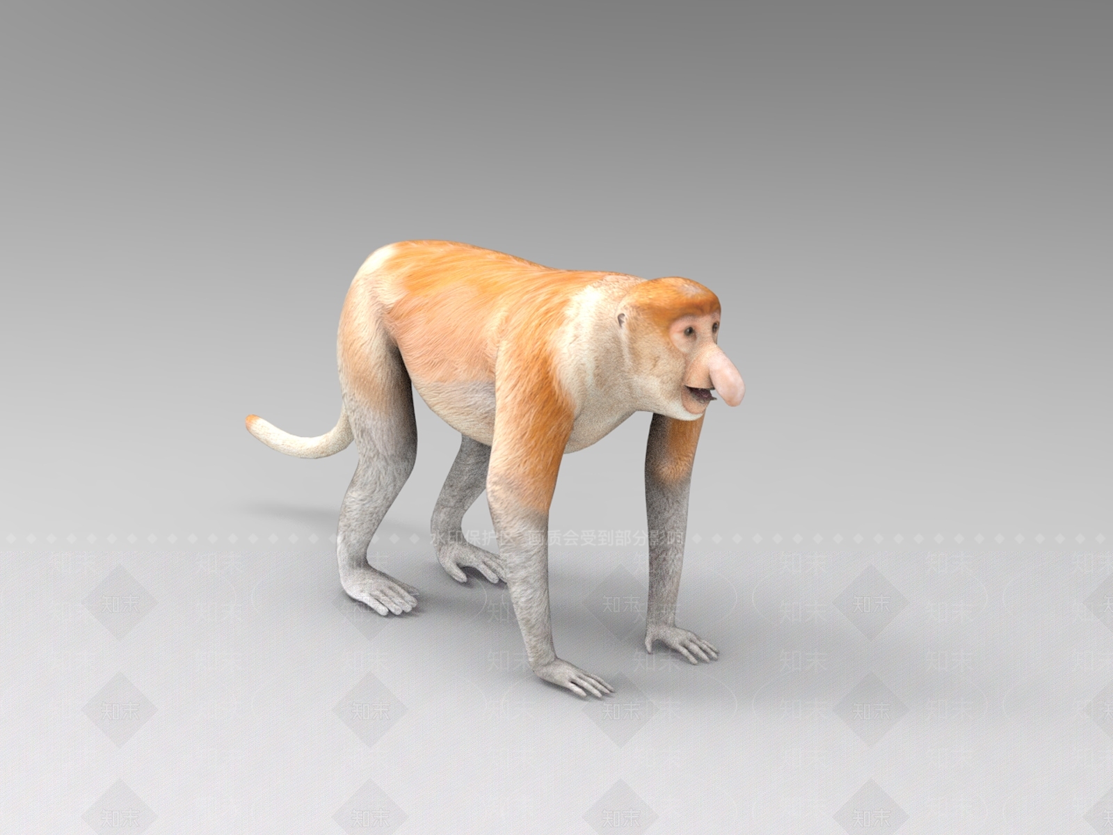 爬行类动物3D模型下载【ID:1181749380】