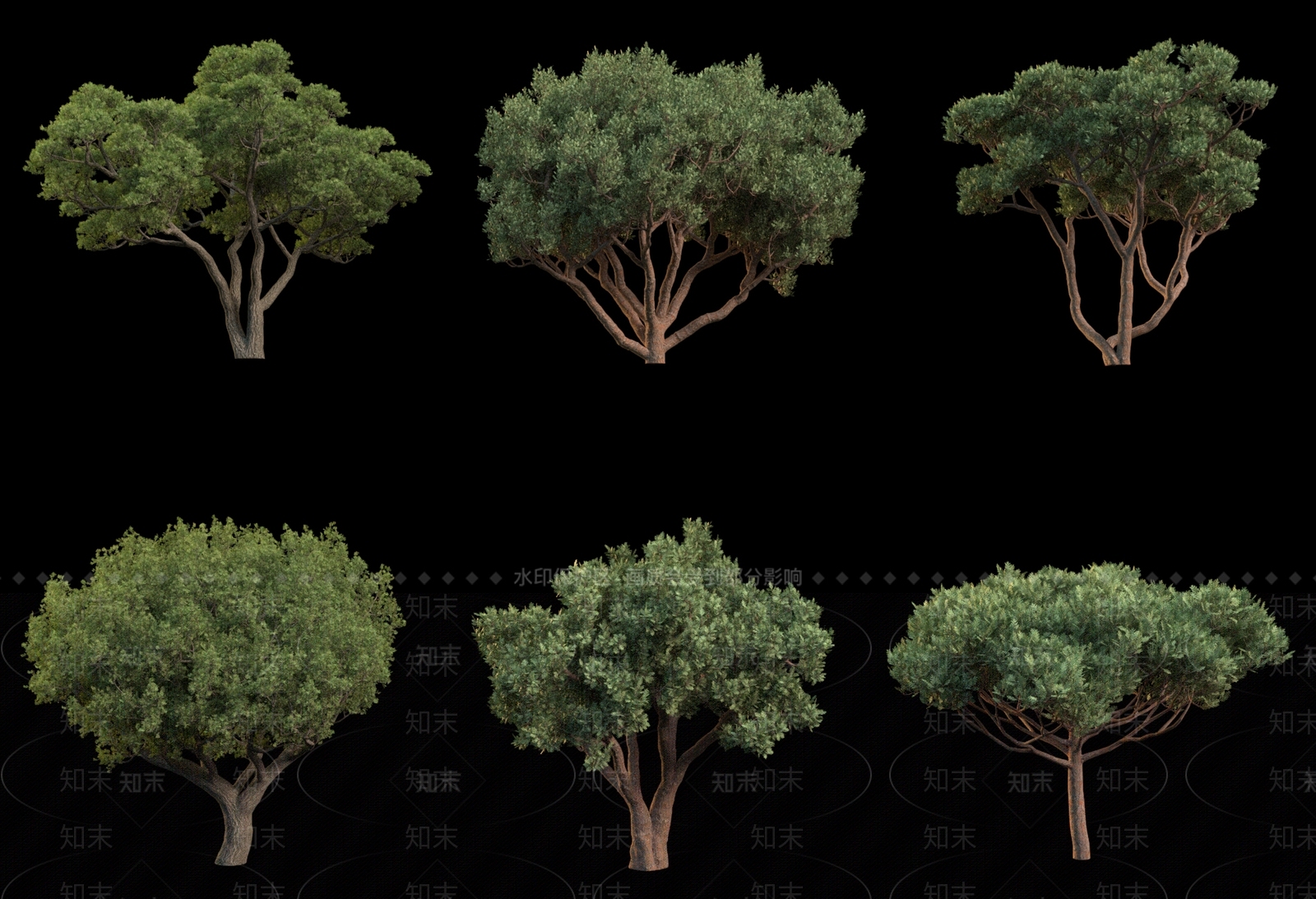 乔木3D模型下载【ID:1181764491】
