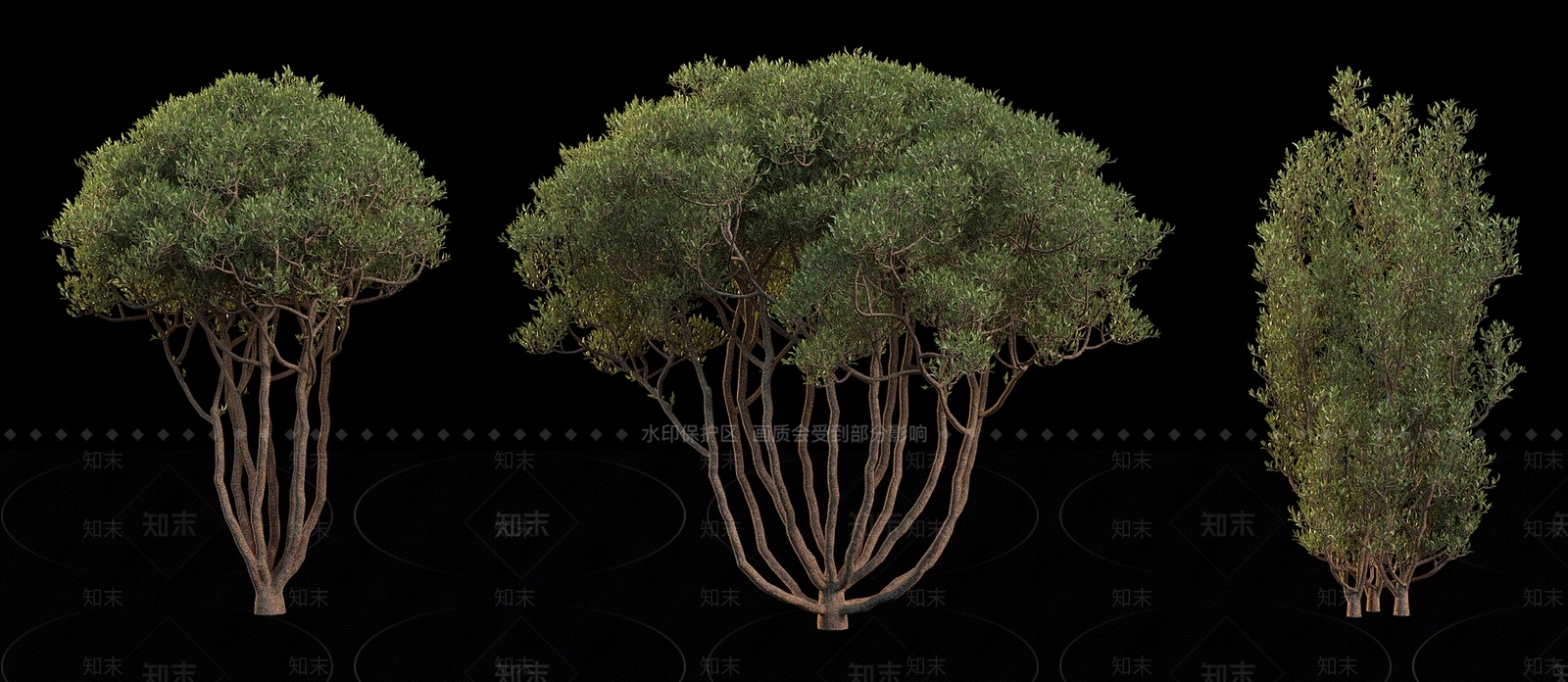 灌木3D模型下载【ID:1181765481】