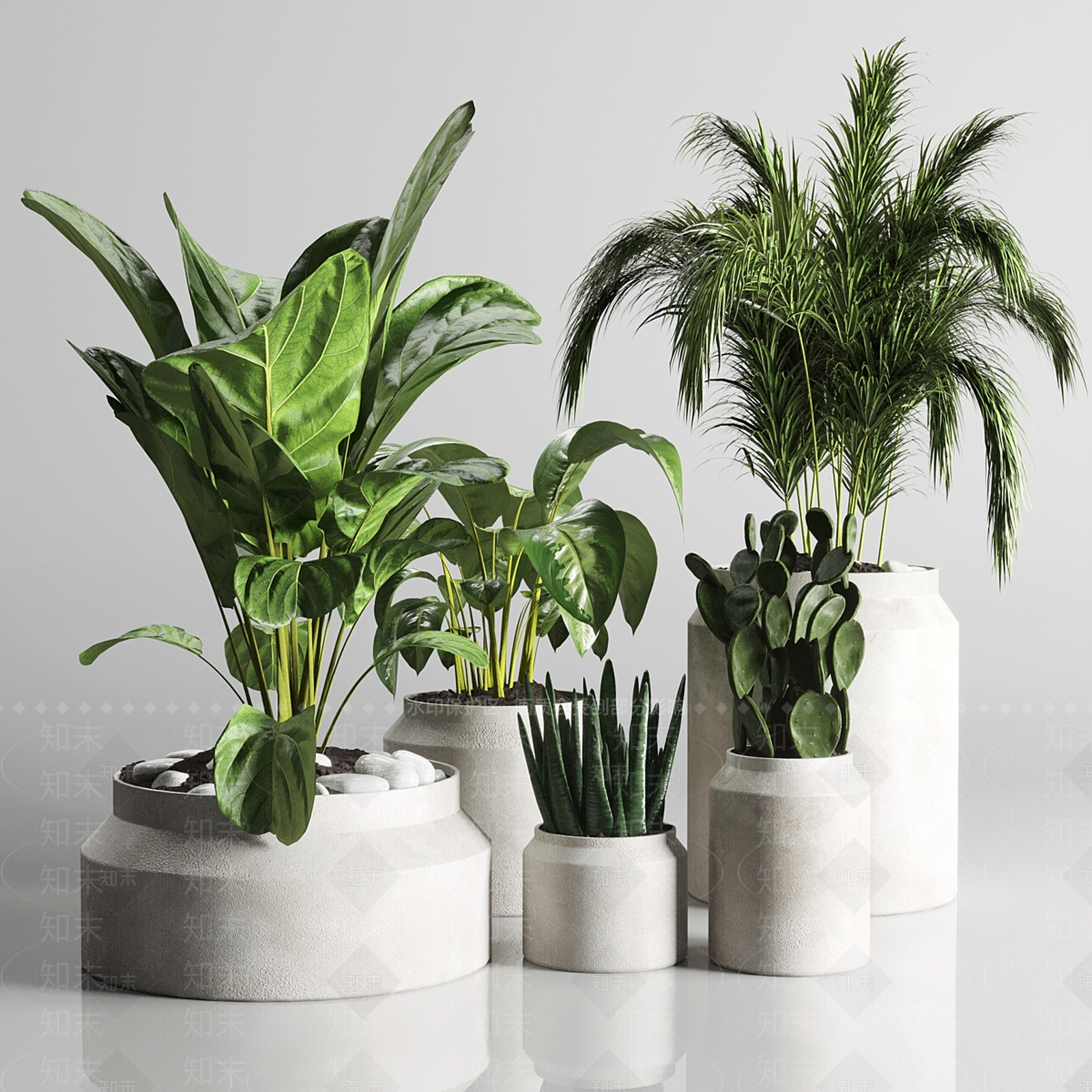 盆栽3D模型下载【ID:1181780615】
