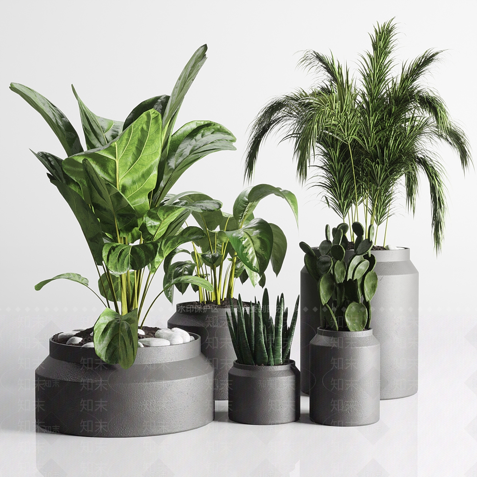 盆栽3D模型下载【ID:1181780615】