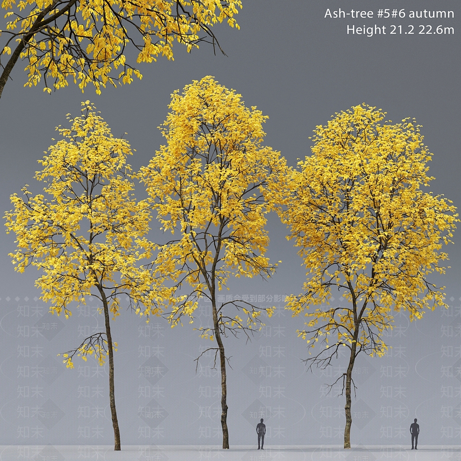 其他树木3D模型下载【ID:1181800484】