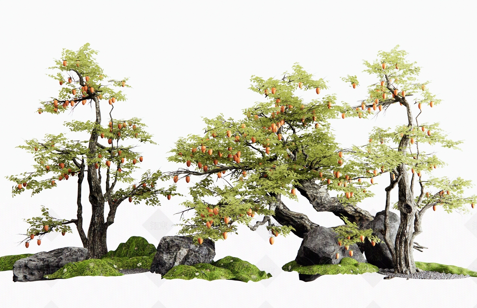 乔木3D模型下载【ID:1181817114】