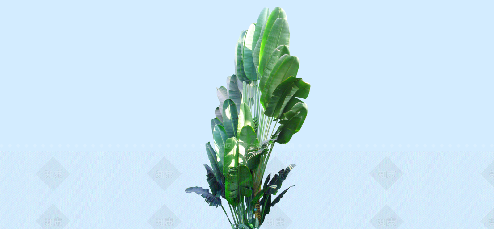 灌木SU模型下载【ID:1181828761】
