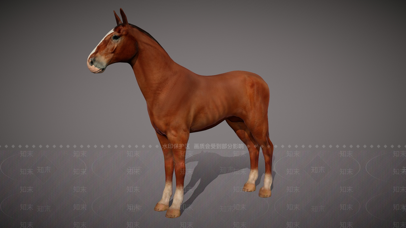 爬行类动物3D模型下载【ID:1181857689】