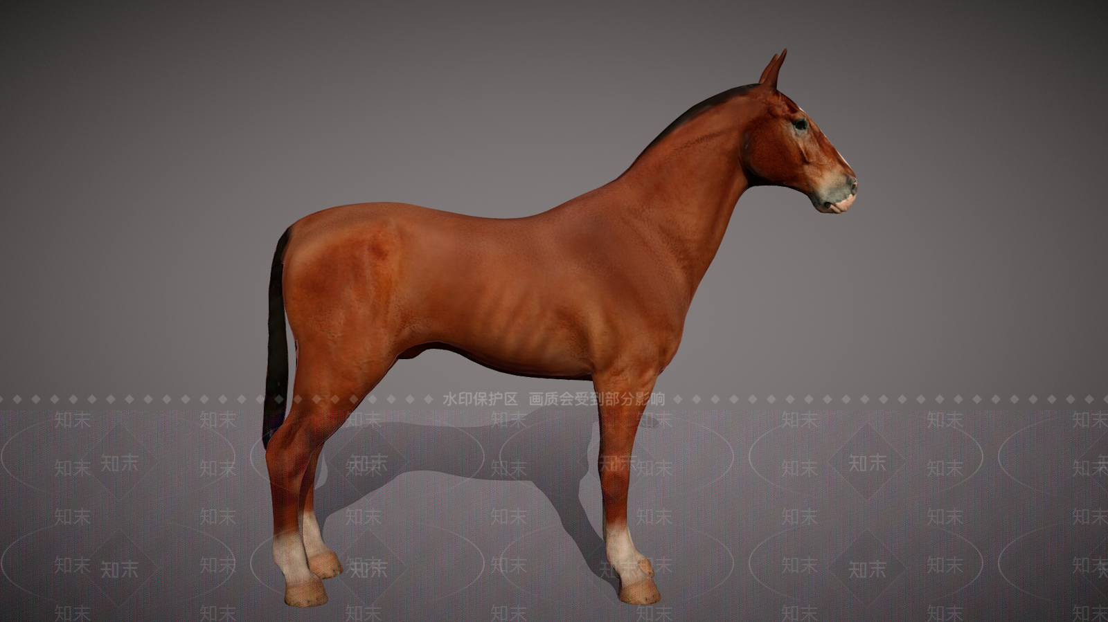 爬行类动物3D模型下载【ID:1181857689】