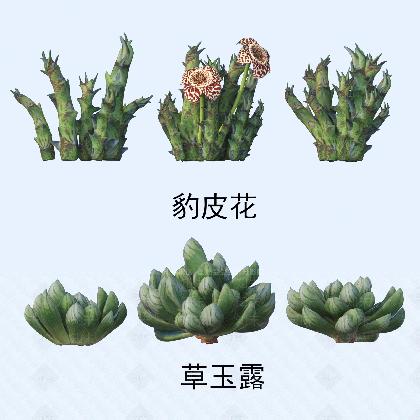 花草组合3D模型下载【ID:1181875165】