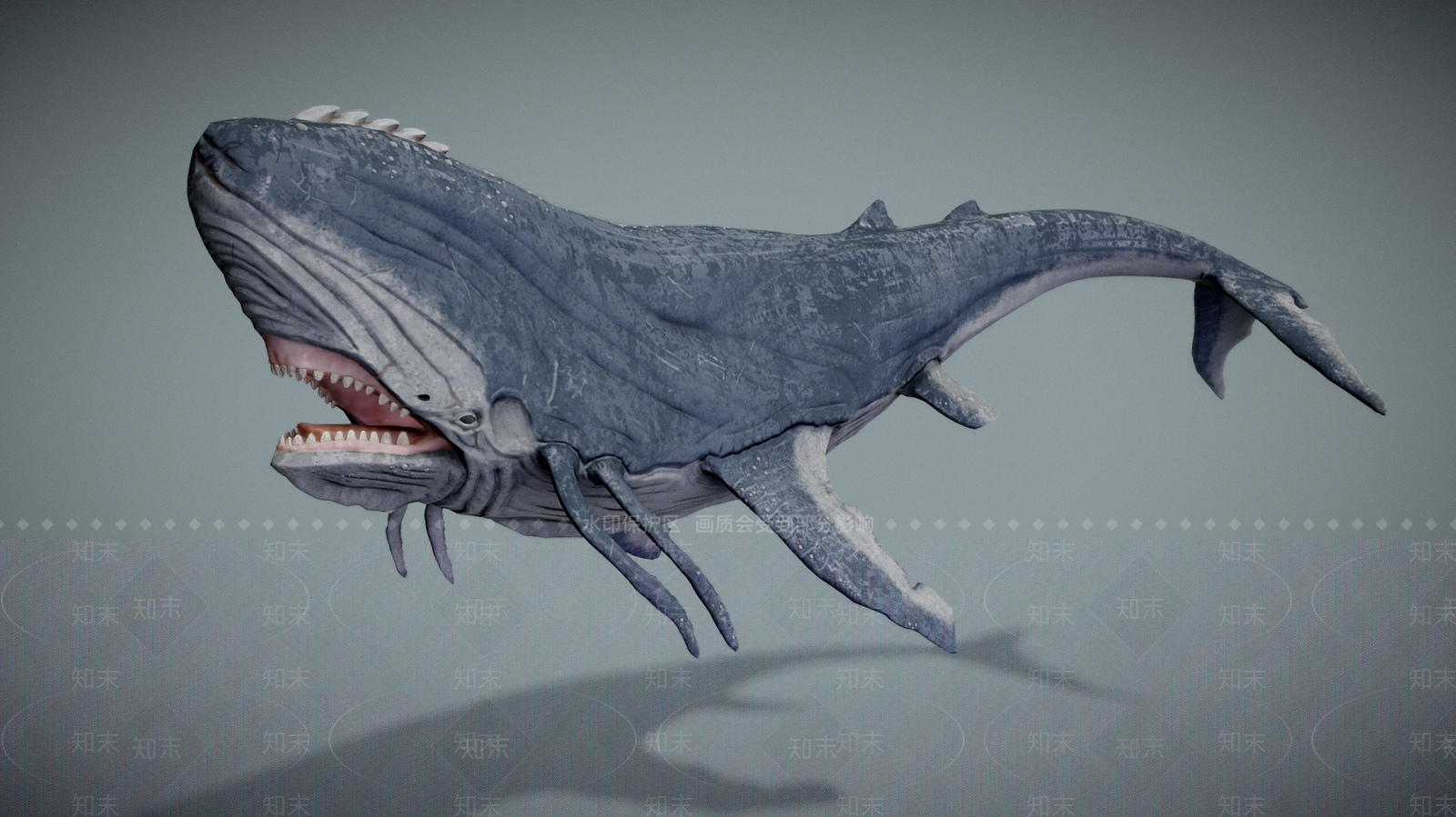水生类动物3D模型下载【ID:1181892692】