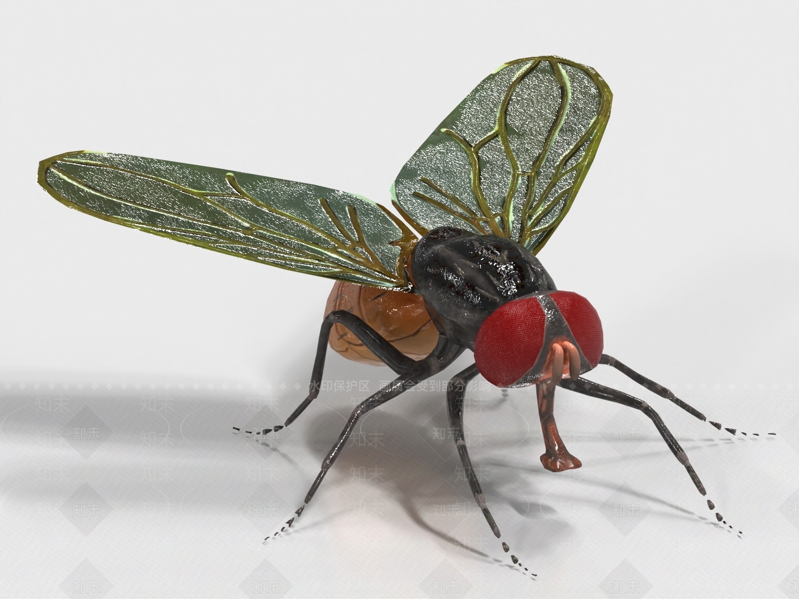飞行类动物3D模型下载【ID:1181905729】