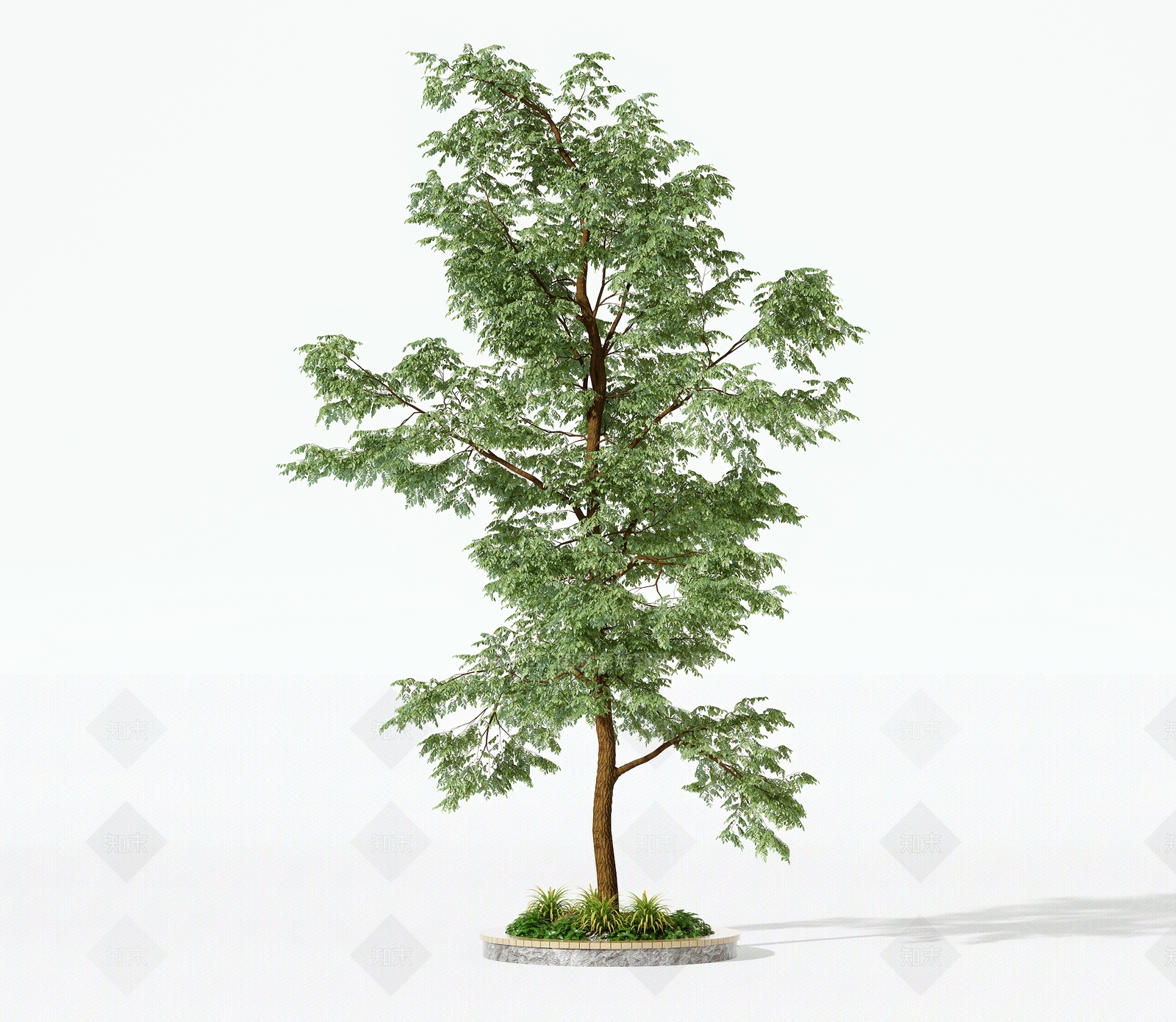 乔木3D模型下载【ID:1181924311】