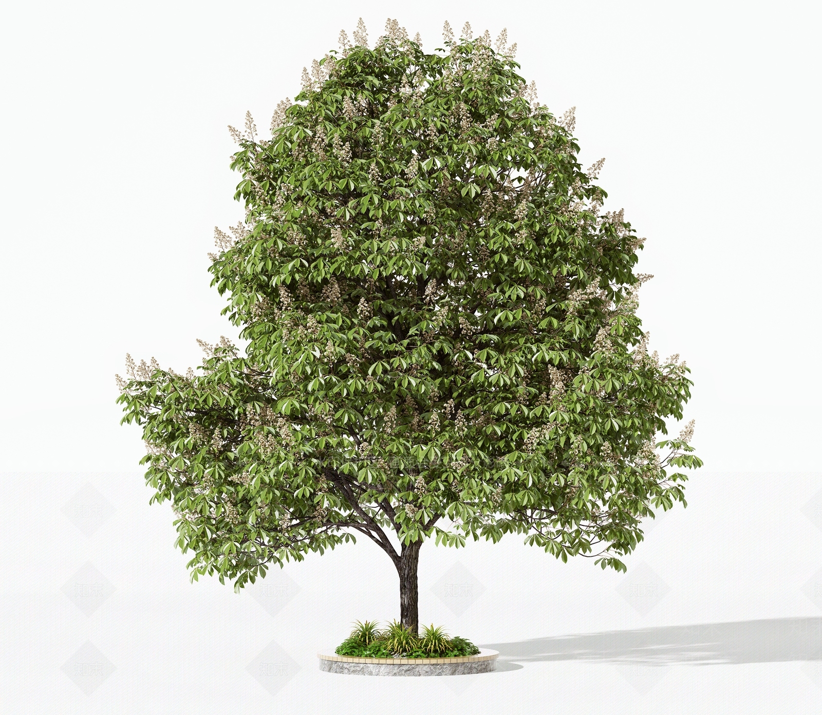 乔木3D模型下载【ID:1181924715】