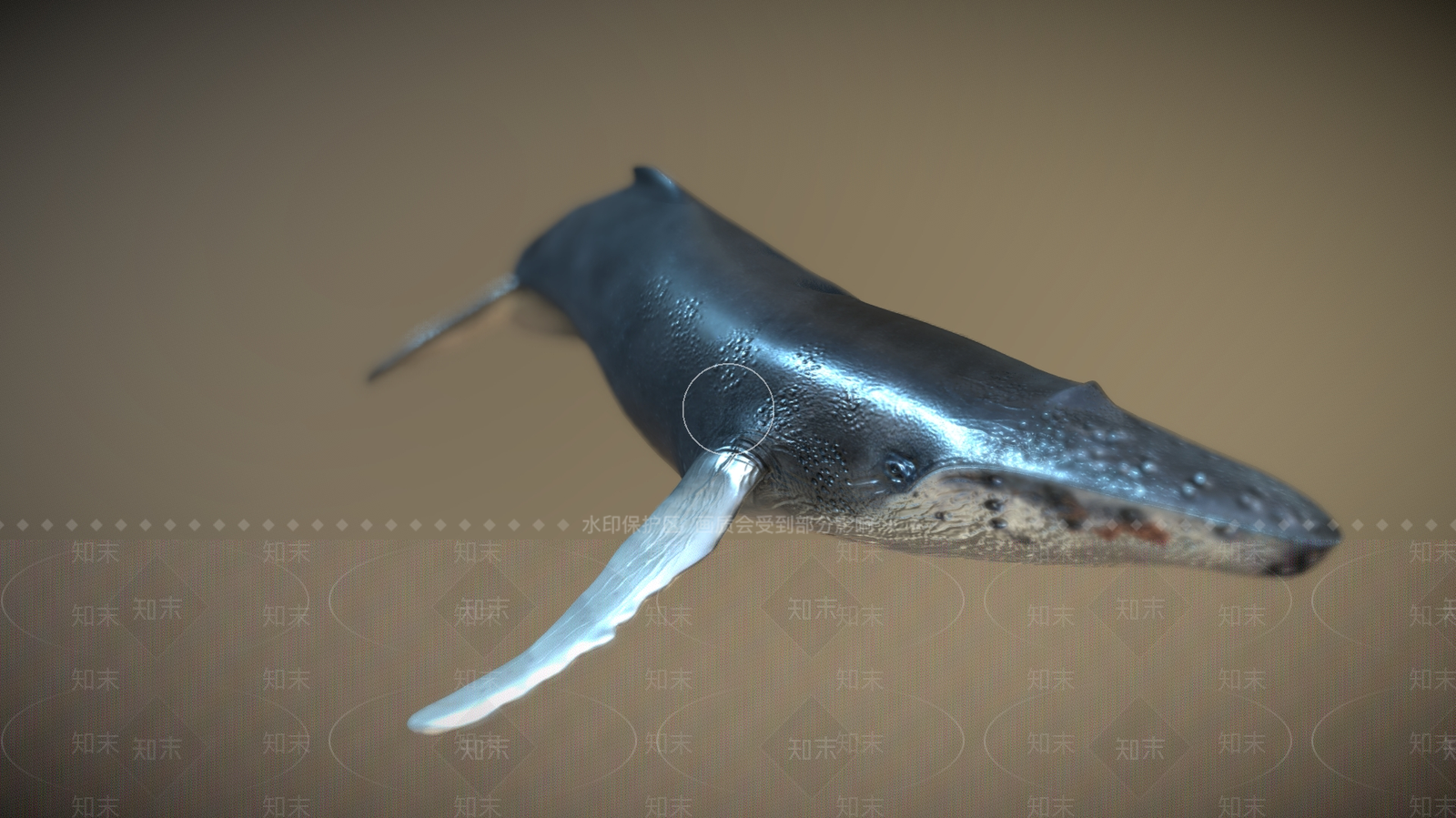 水生类动物3D模型下载【ID:1181979742】