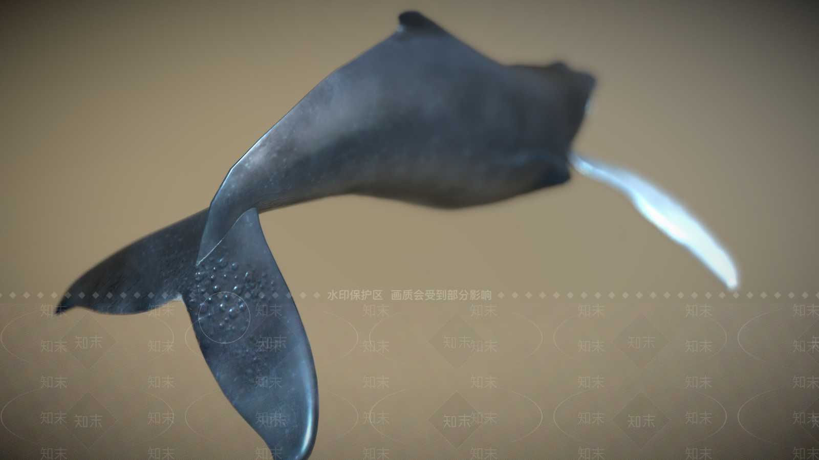 水生类动物3D模型下载【ID:1181979742】