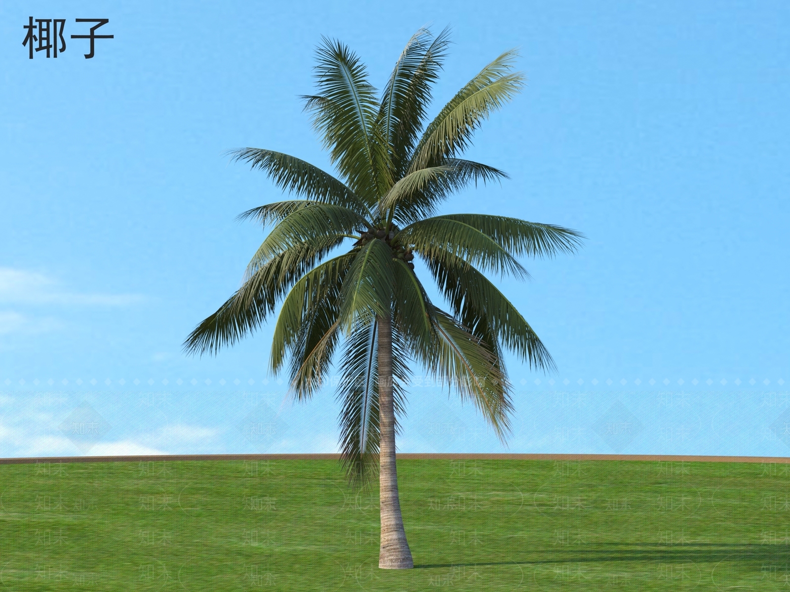 景观树3D模型下载【ID:1181982201】