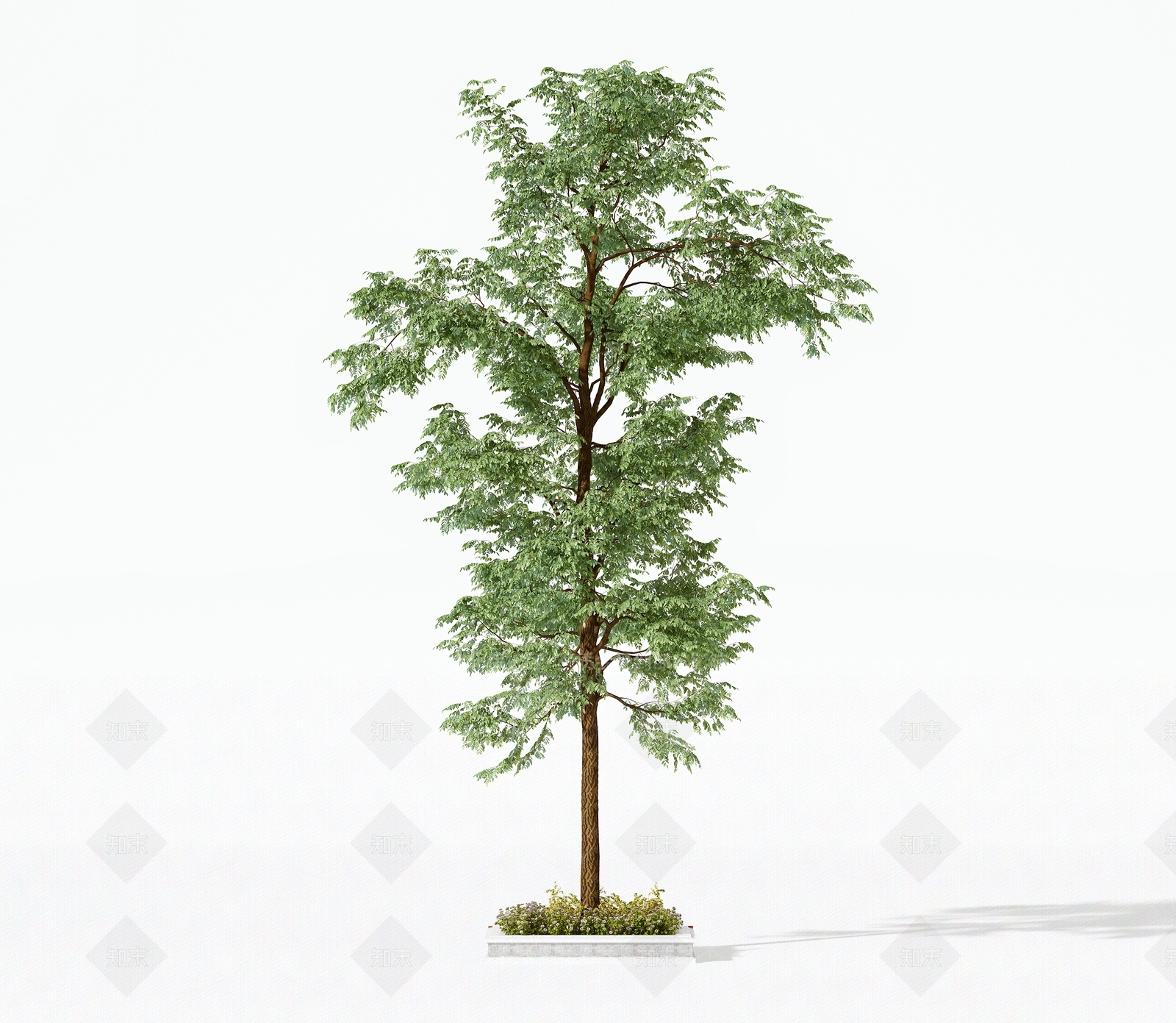 乔木3D模型下载【ID:1181987910】