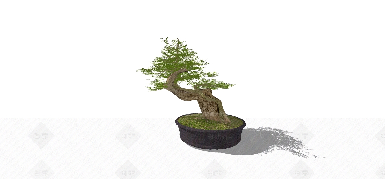 盆栽SU模型下载【ID:1181996965】