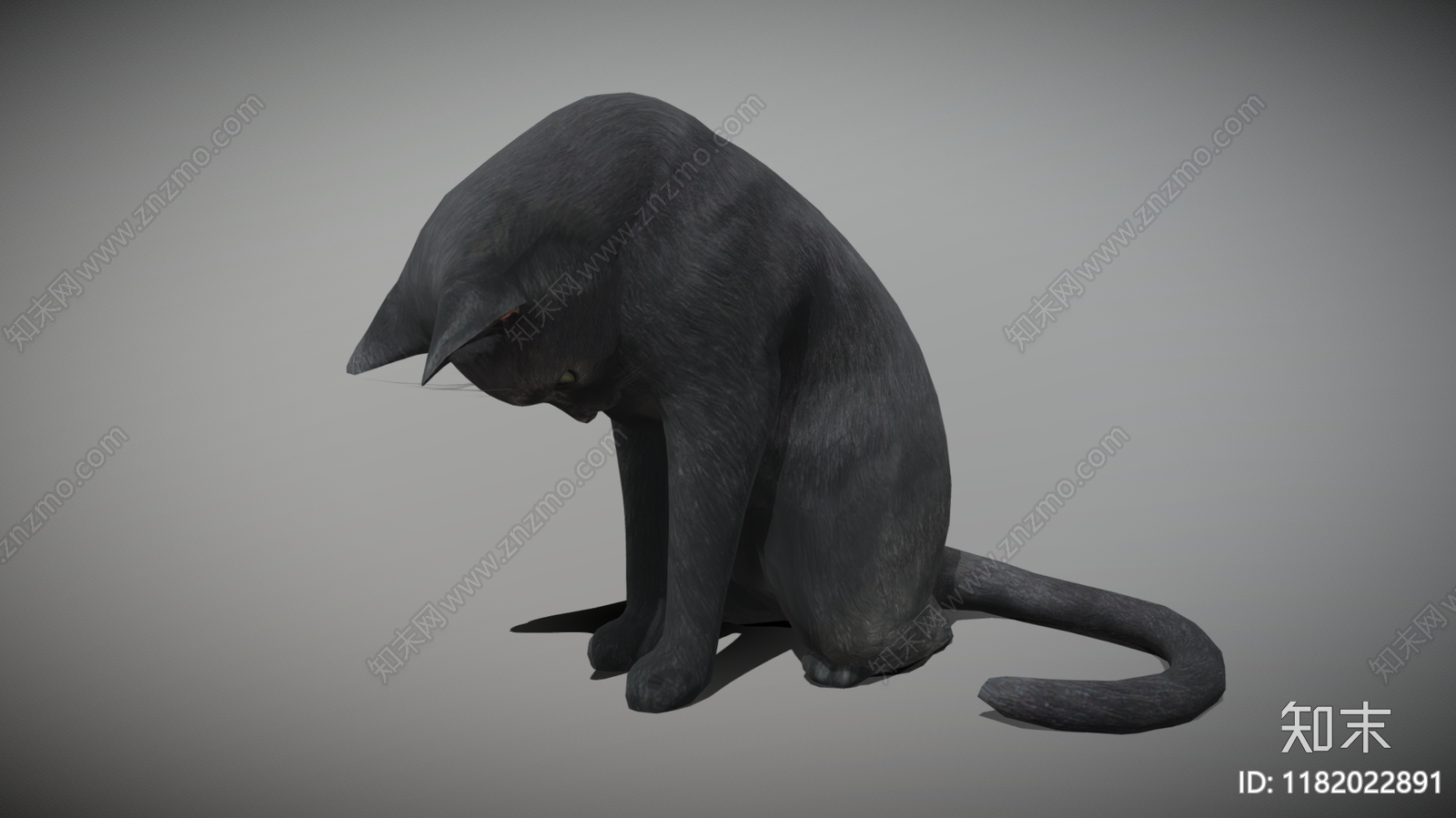 猫3D模型下载【ID:1182022891】