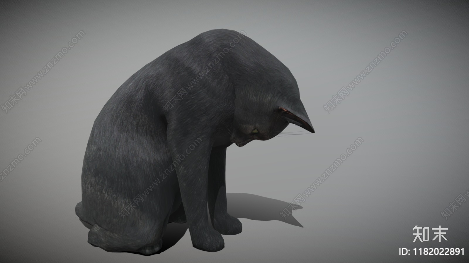 猫3D模型下载【ID:1182022891】