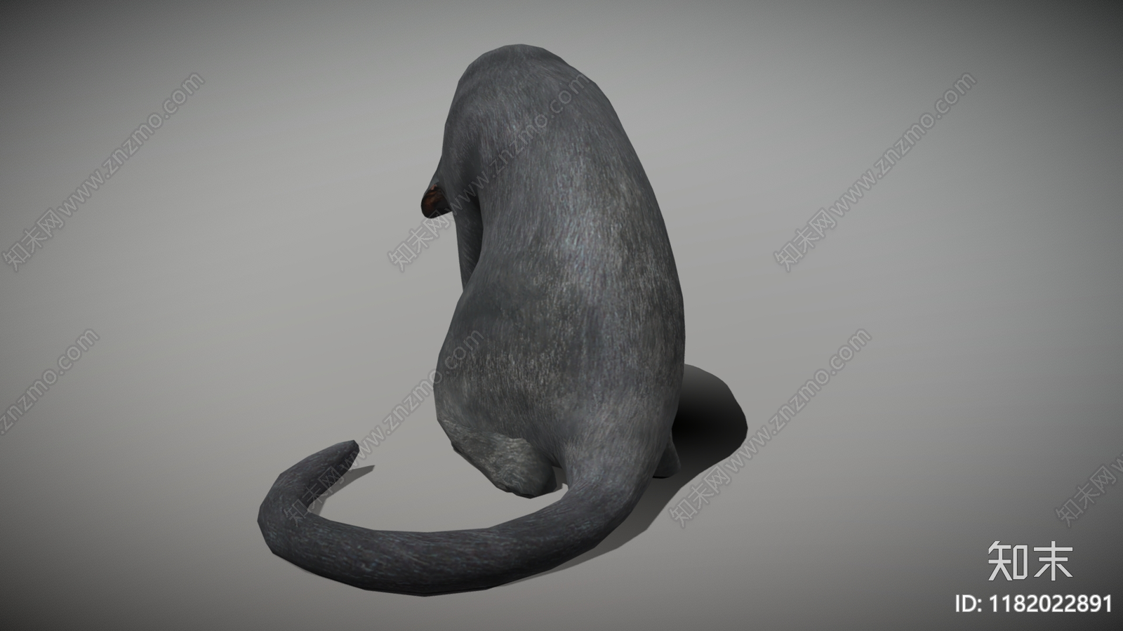 猫3D模型下载【ID:1182022891】