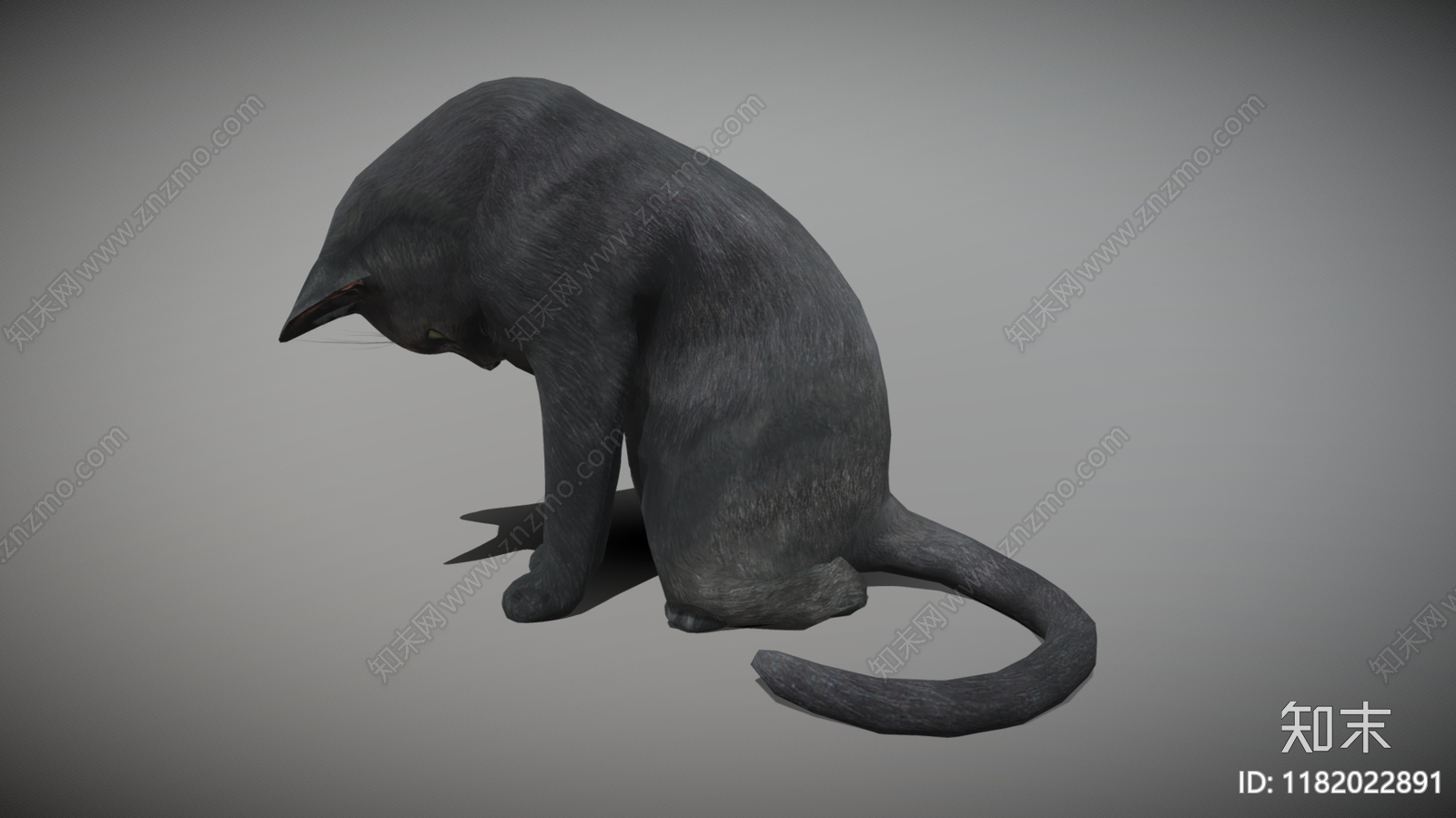 猫3D模型下载【ID:1182022891】