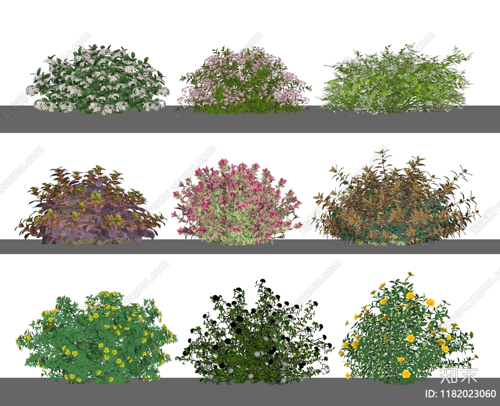 灌木SU模型下载【ID:1182023060】