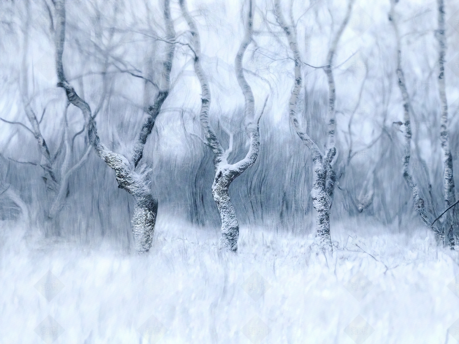 现代挂画贴图下载【ID:1182039539】