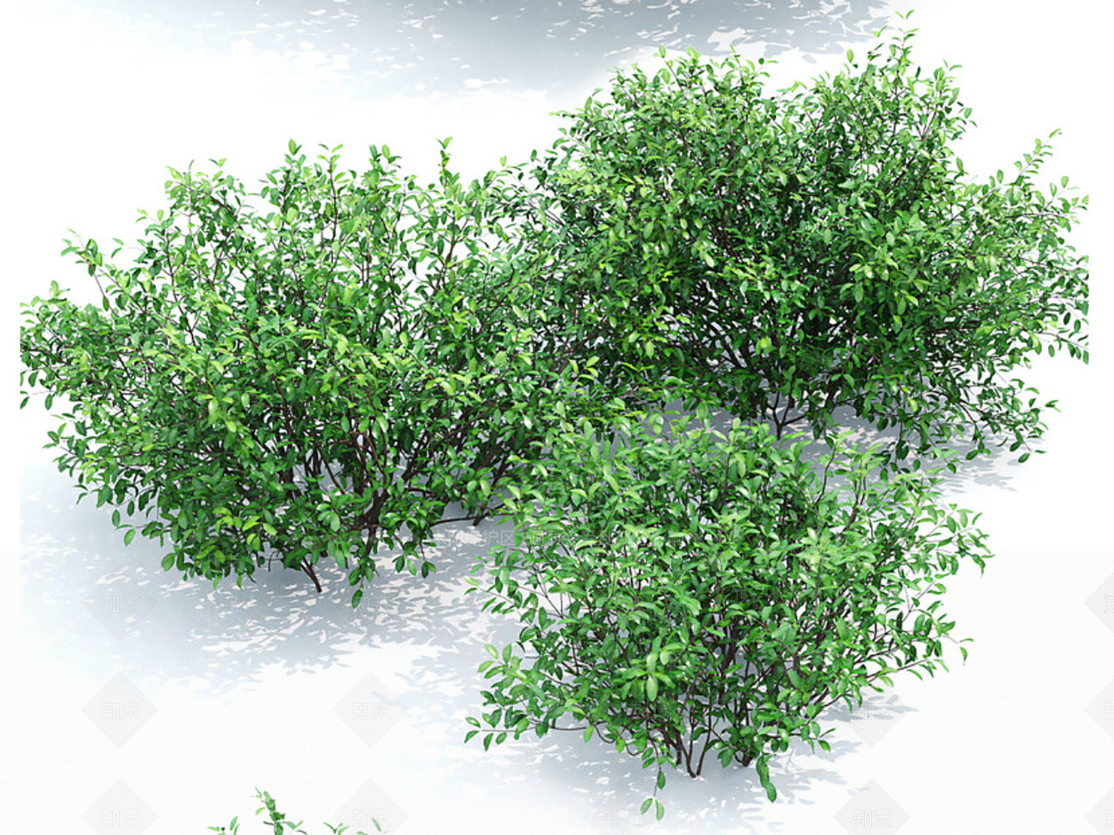 灌木3D模型下载【ID:1182046423】