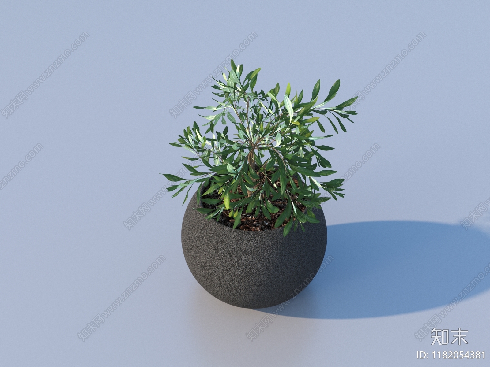 盆栽3D模型下载【ID:1182054381】