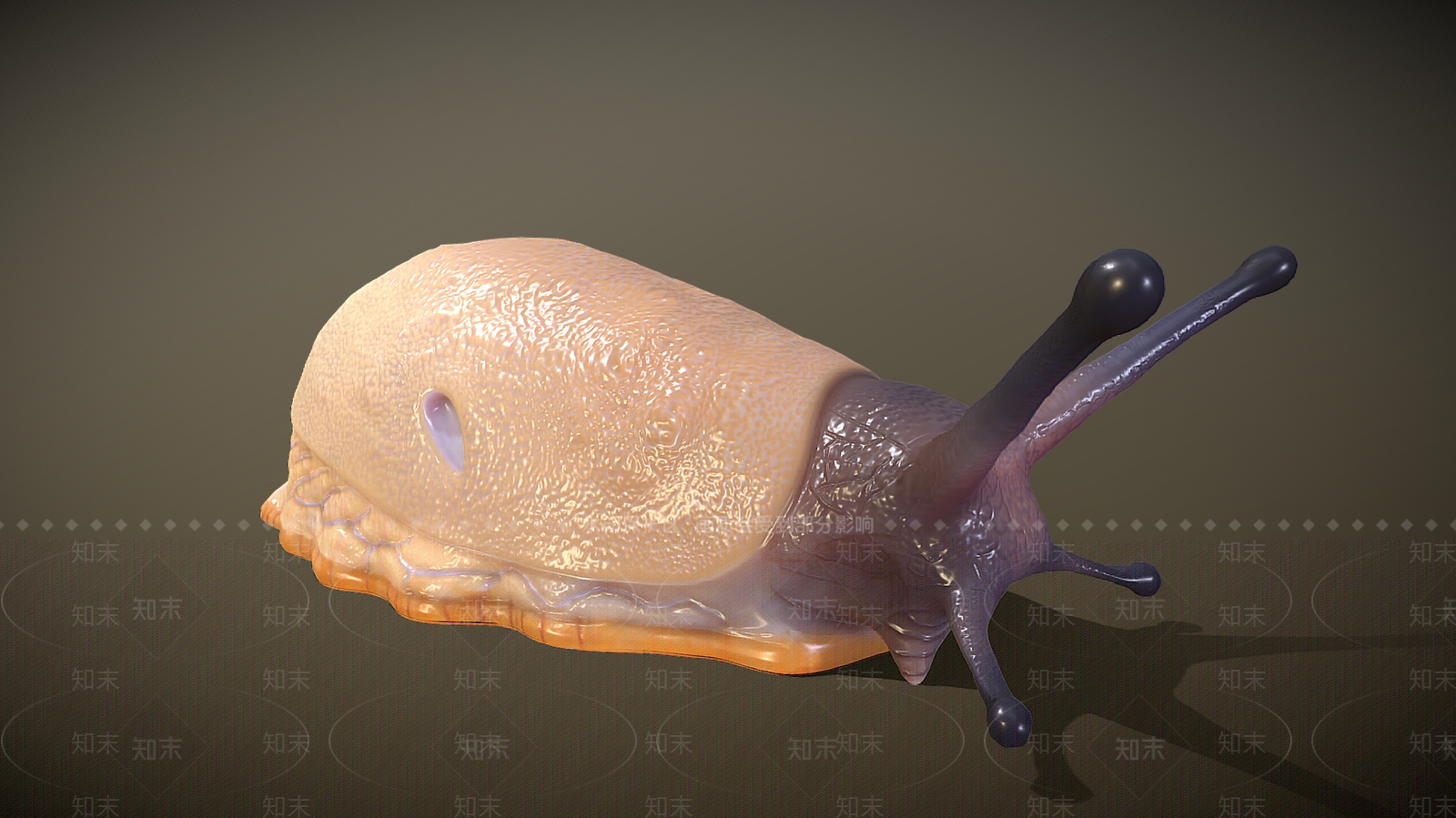 爬行类动物3D模型下载【ID:1182067212】