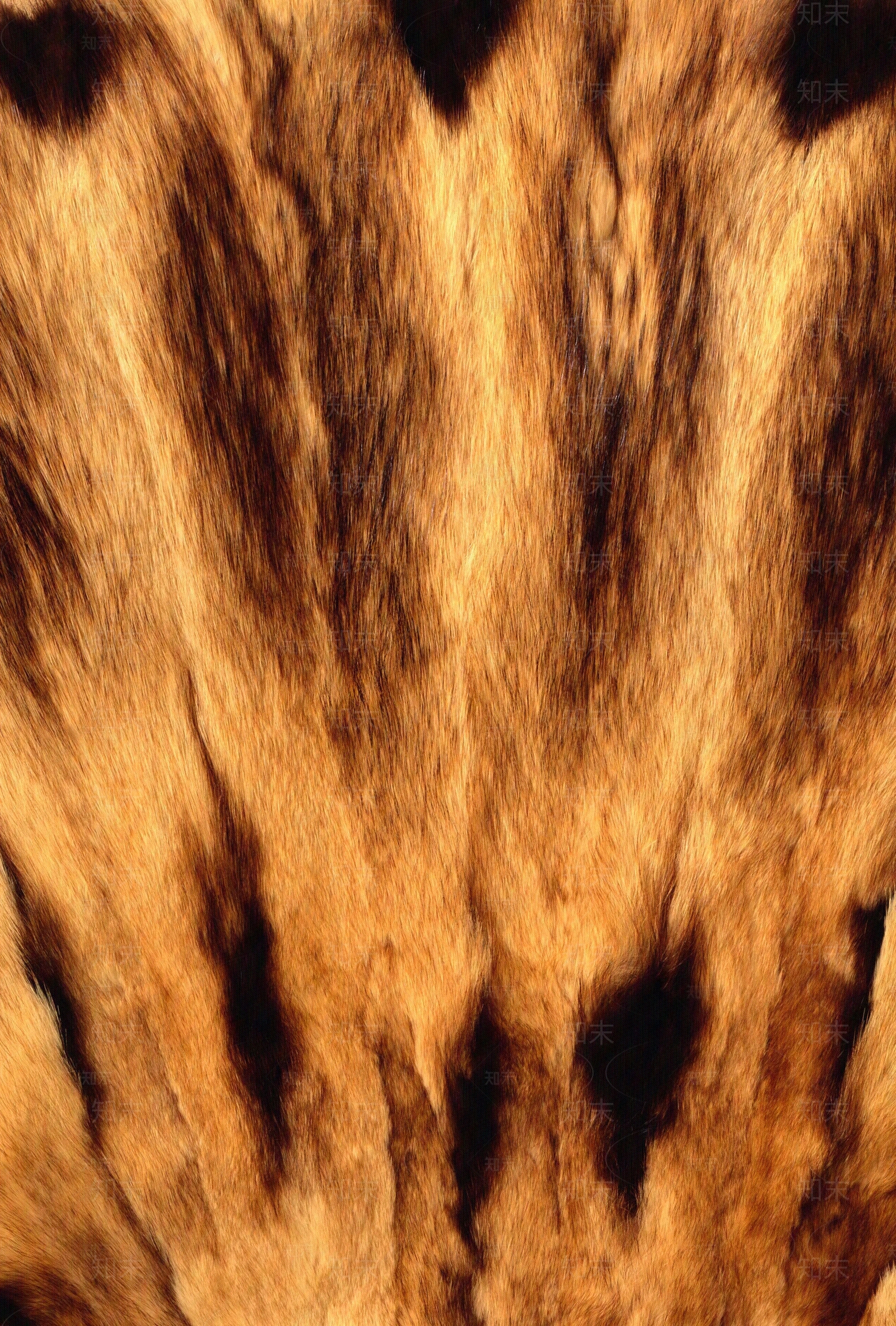 现代动物皮毛贴图下载【ID:1182109688】